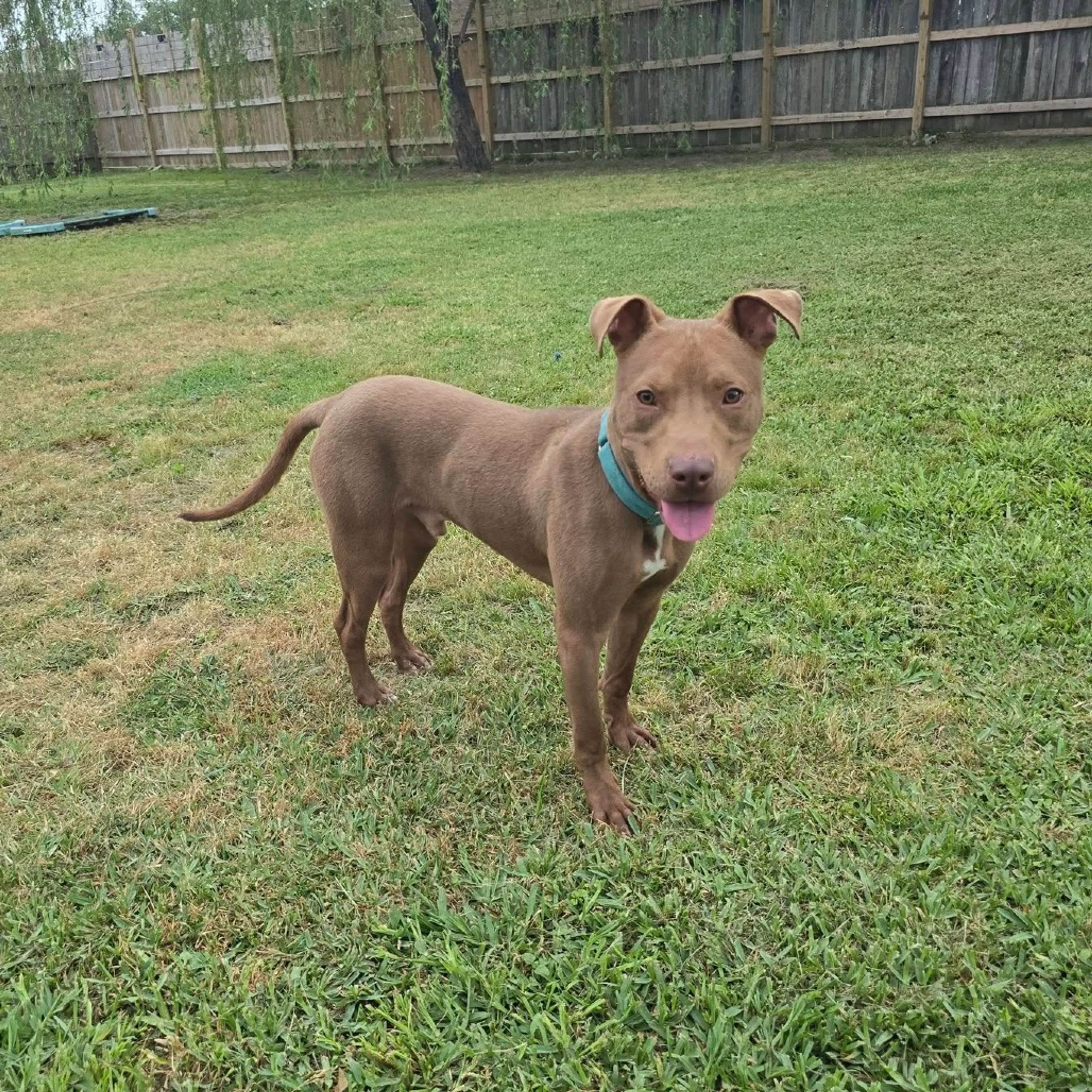 -20