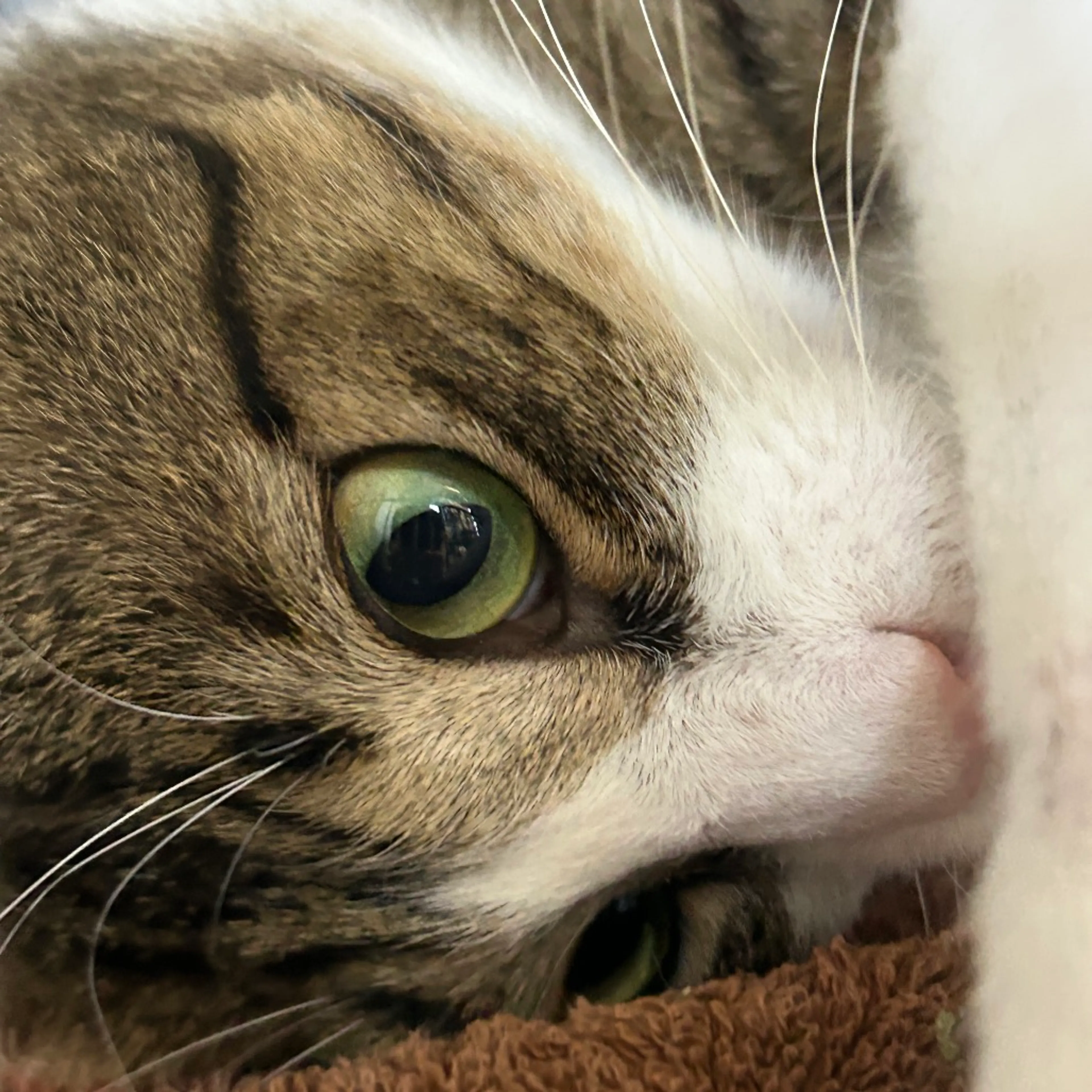 -9