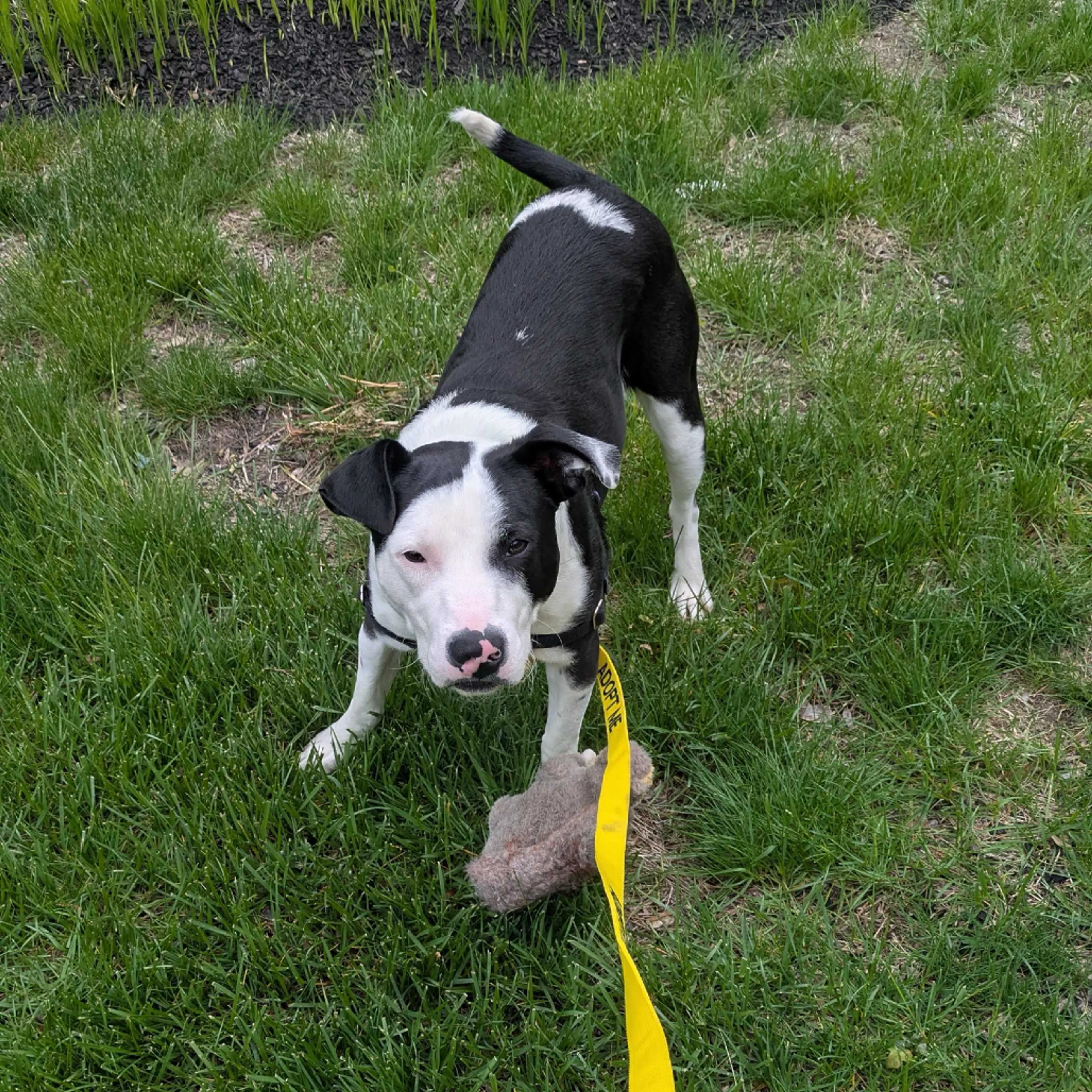 -6