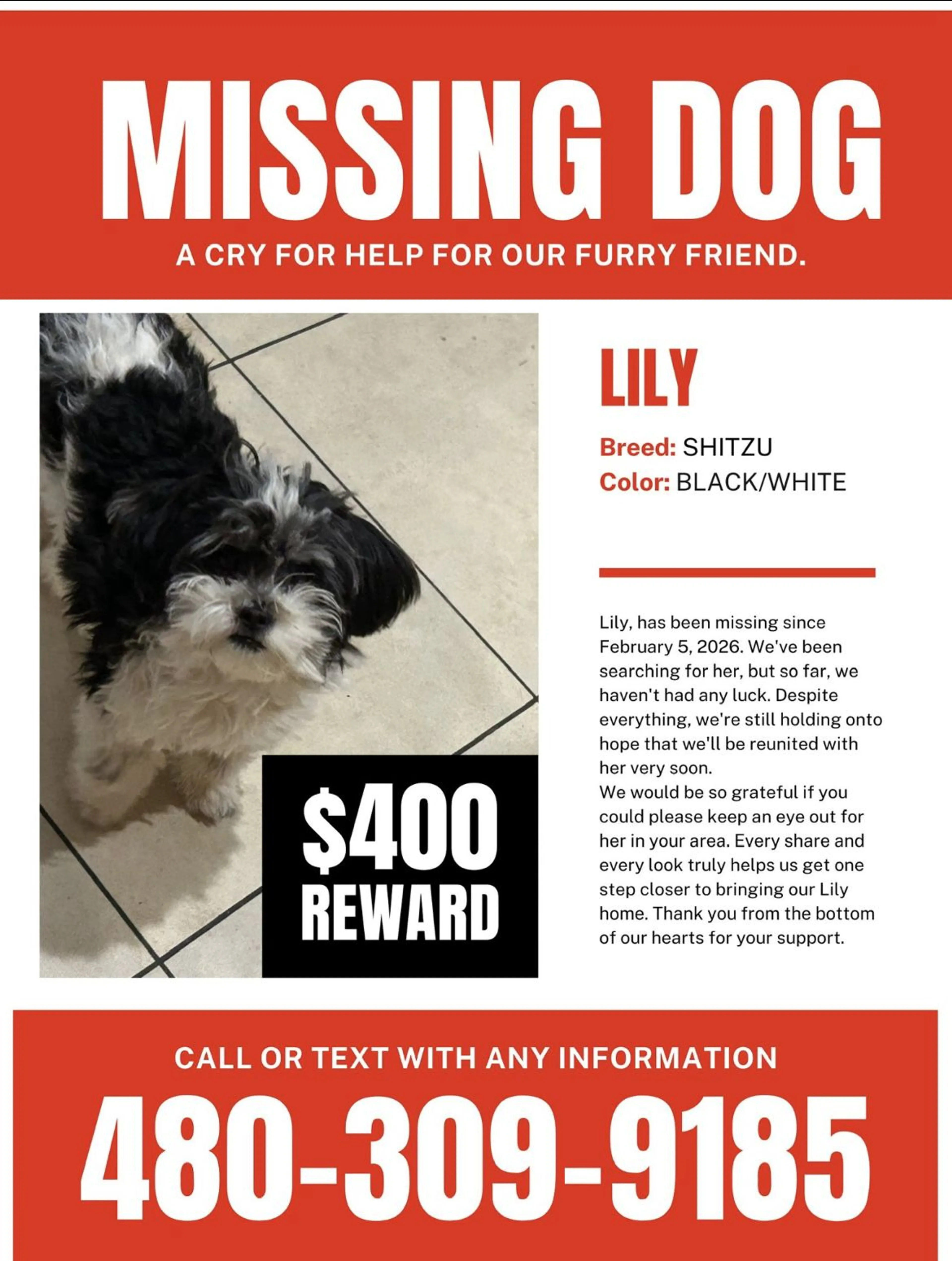 Lost pet