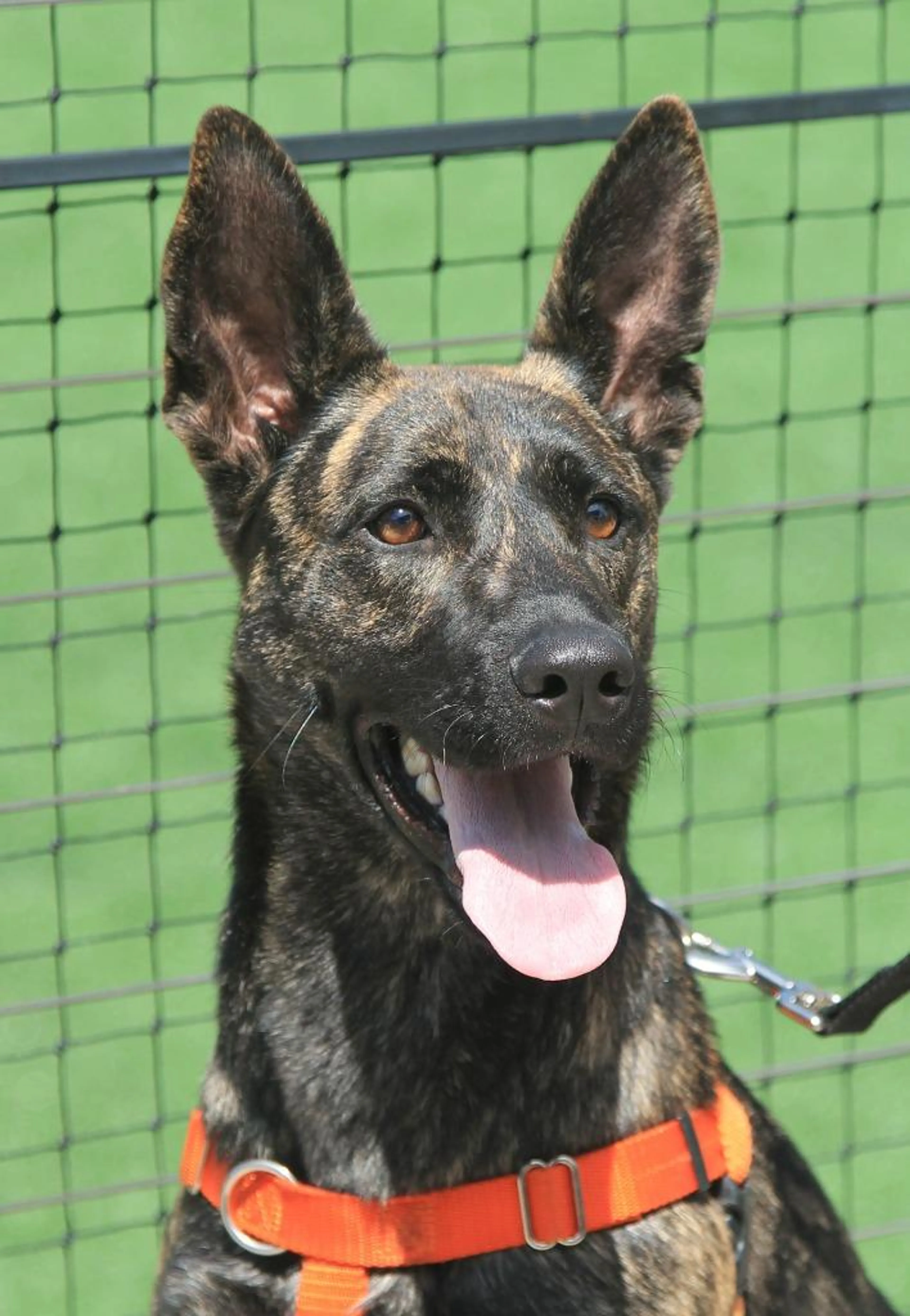 -3