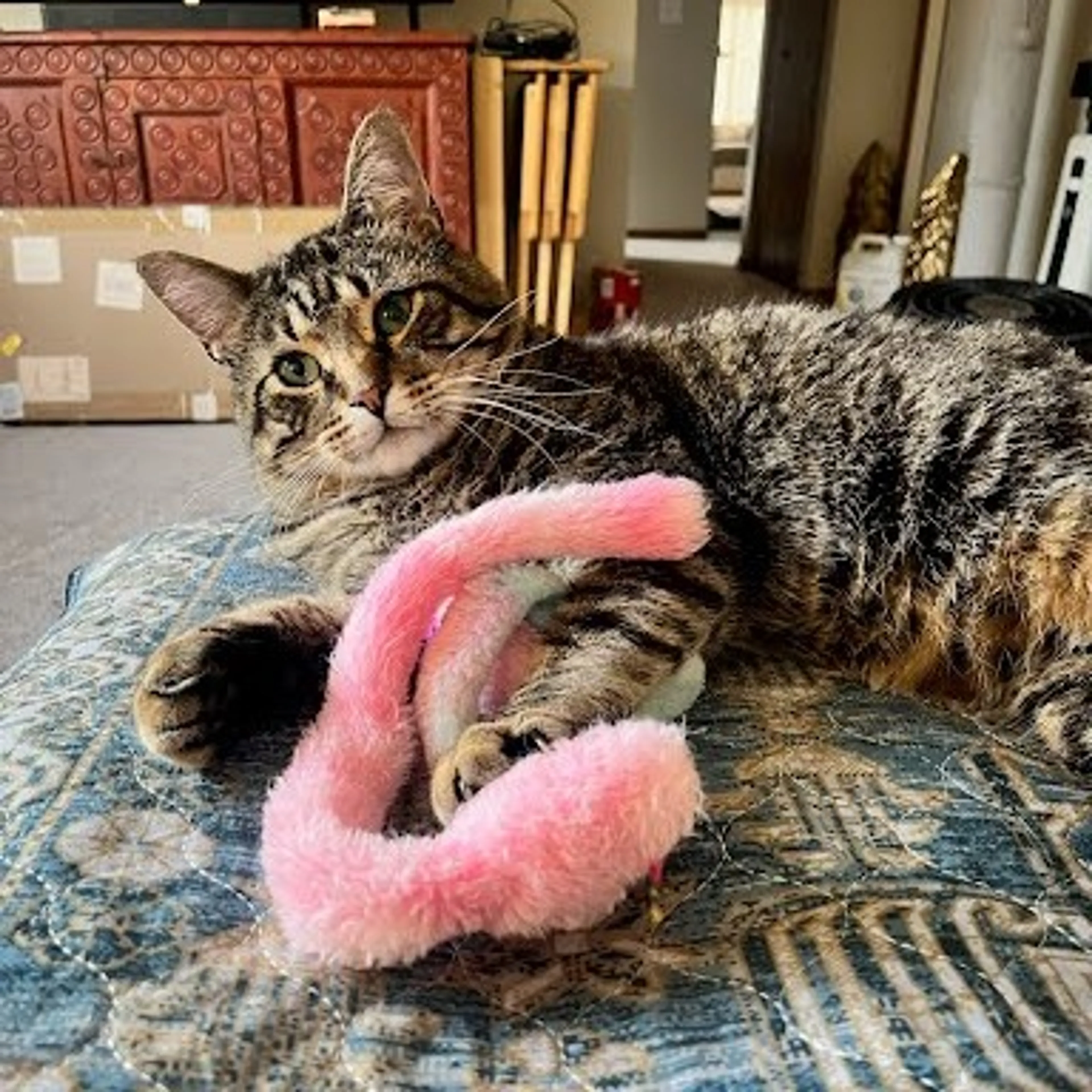 -23