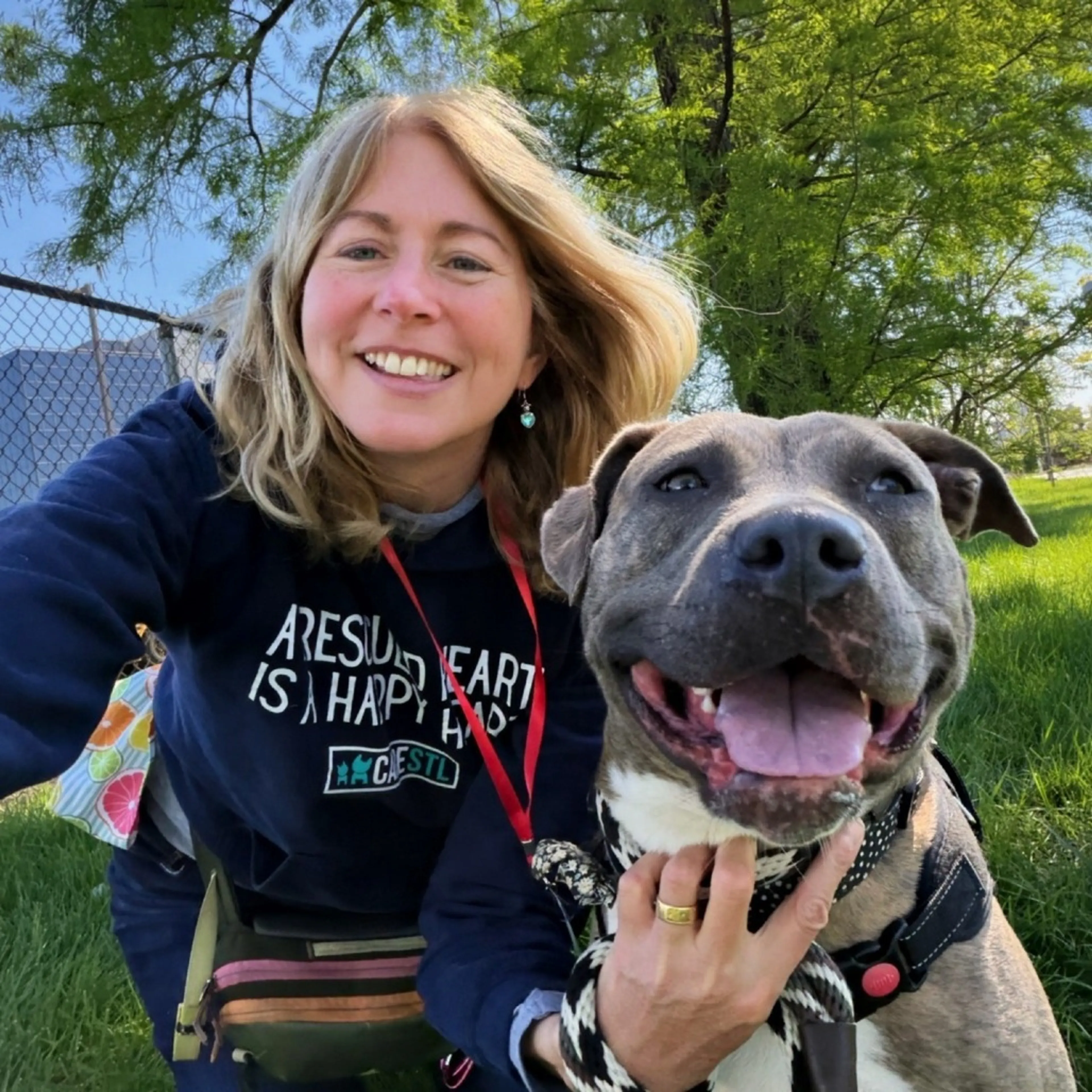 Found pet-26