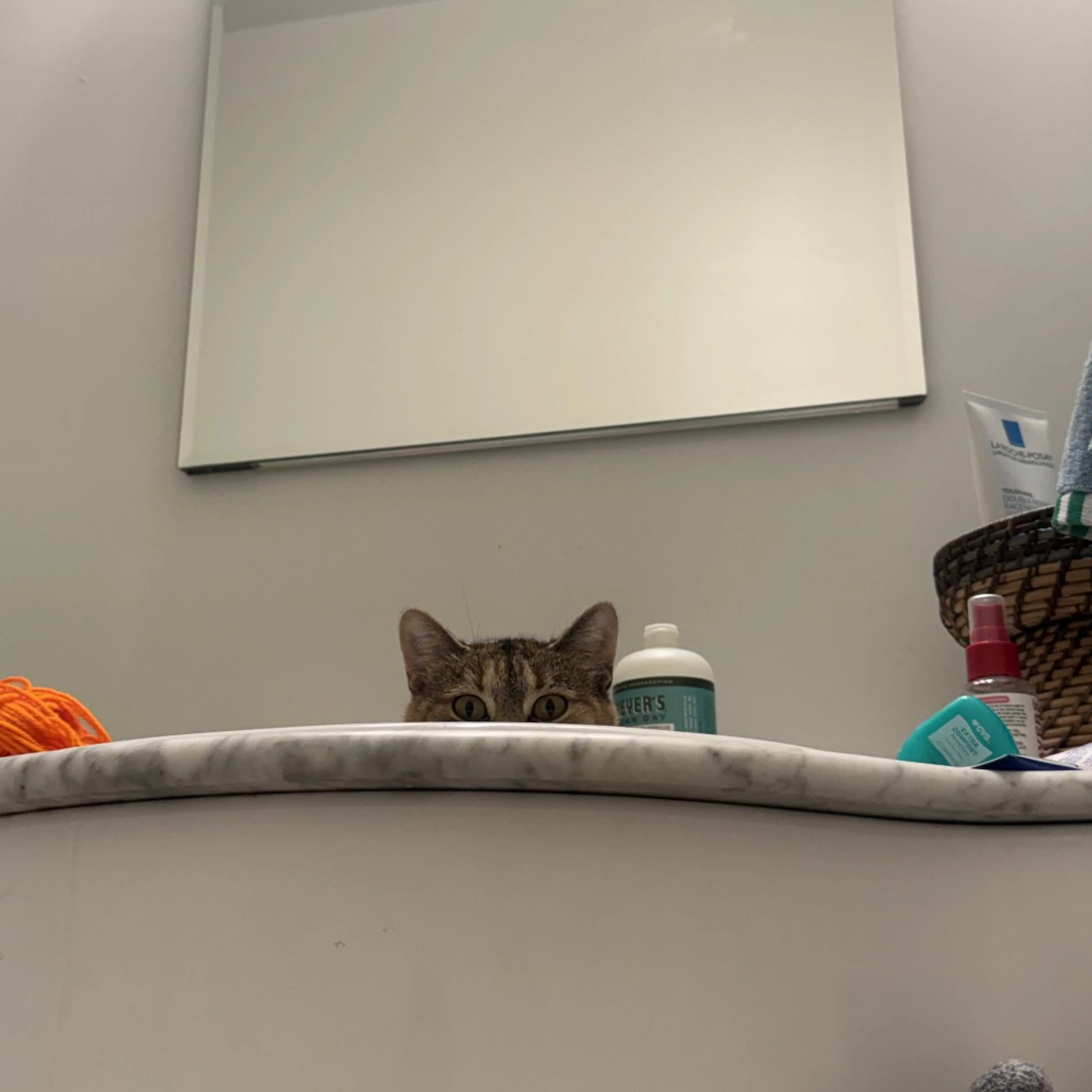 Found pet-2