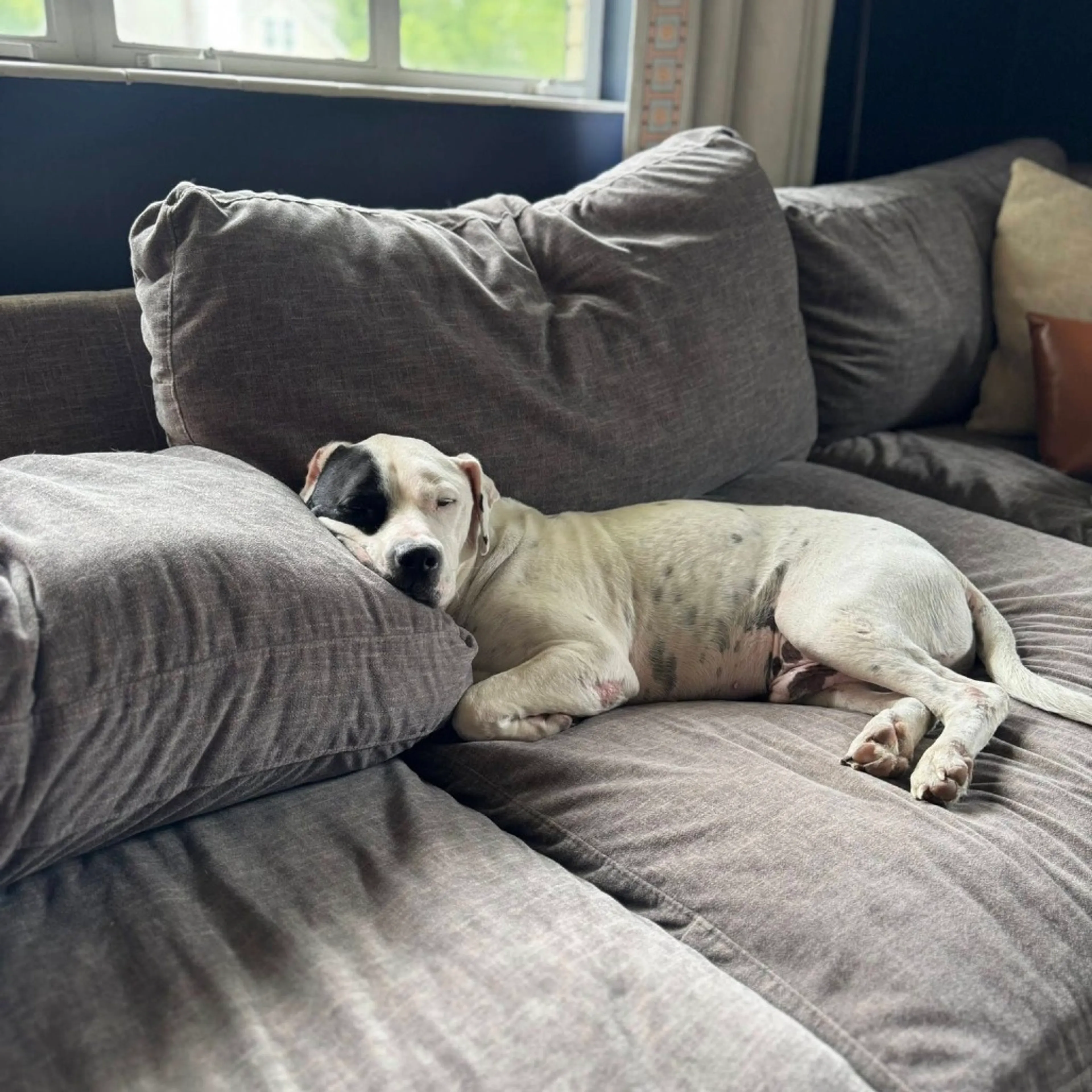 -18
