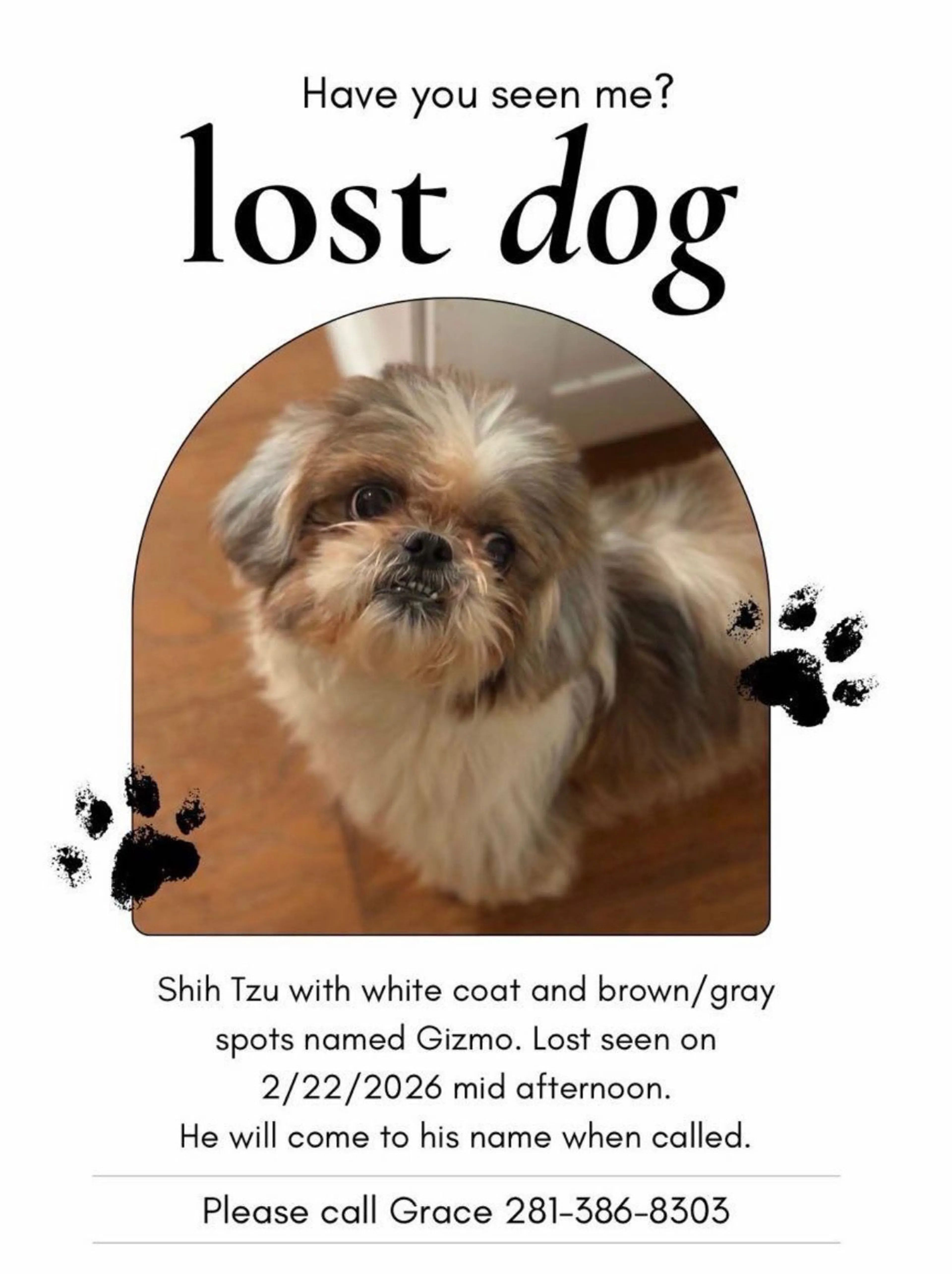 Lost pet
