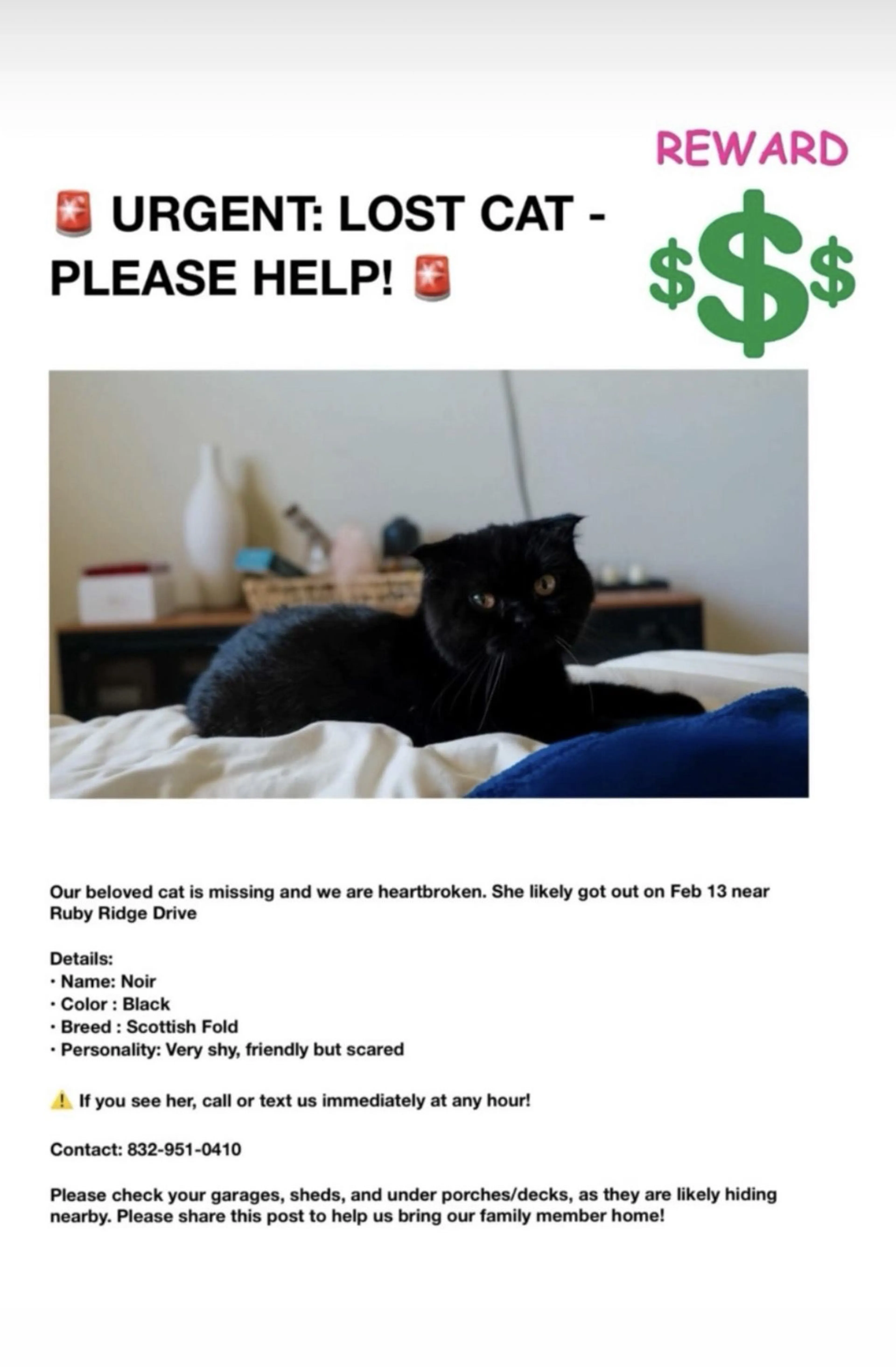Lost pet