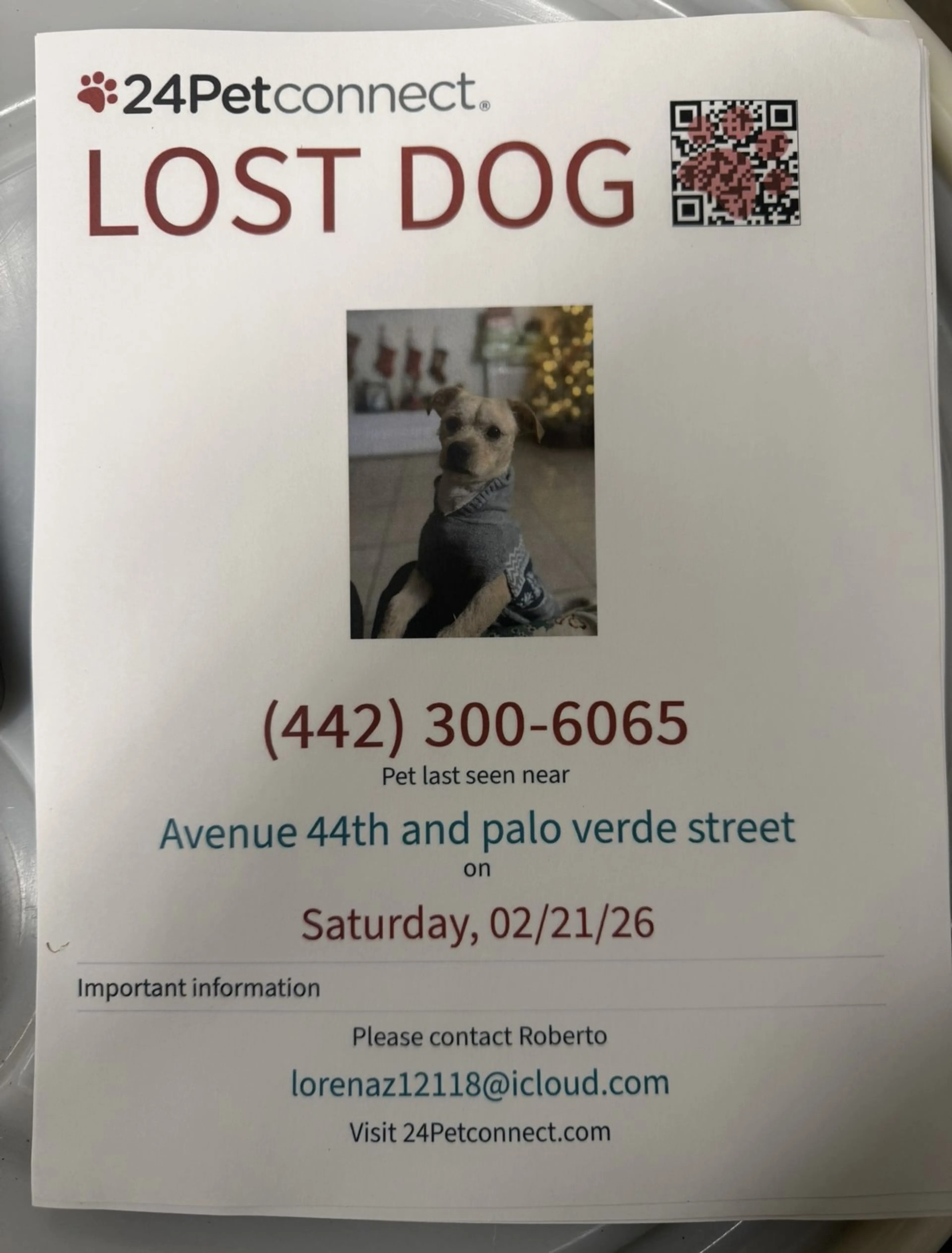 Lost pet