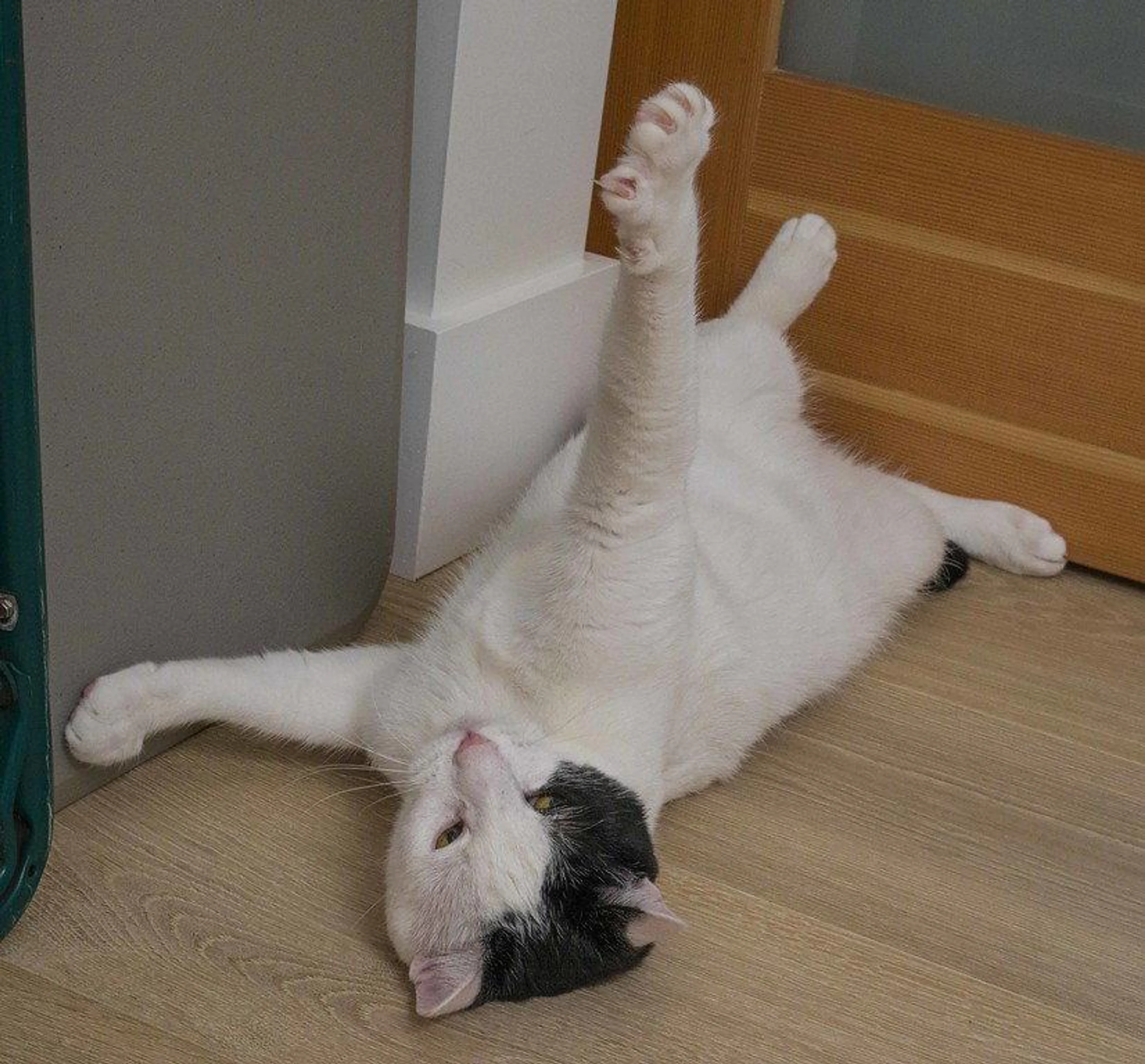 -1