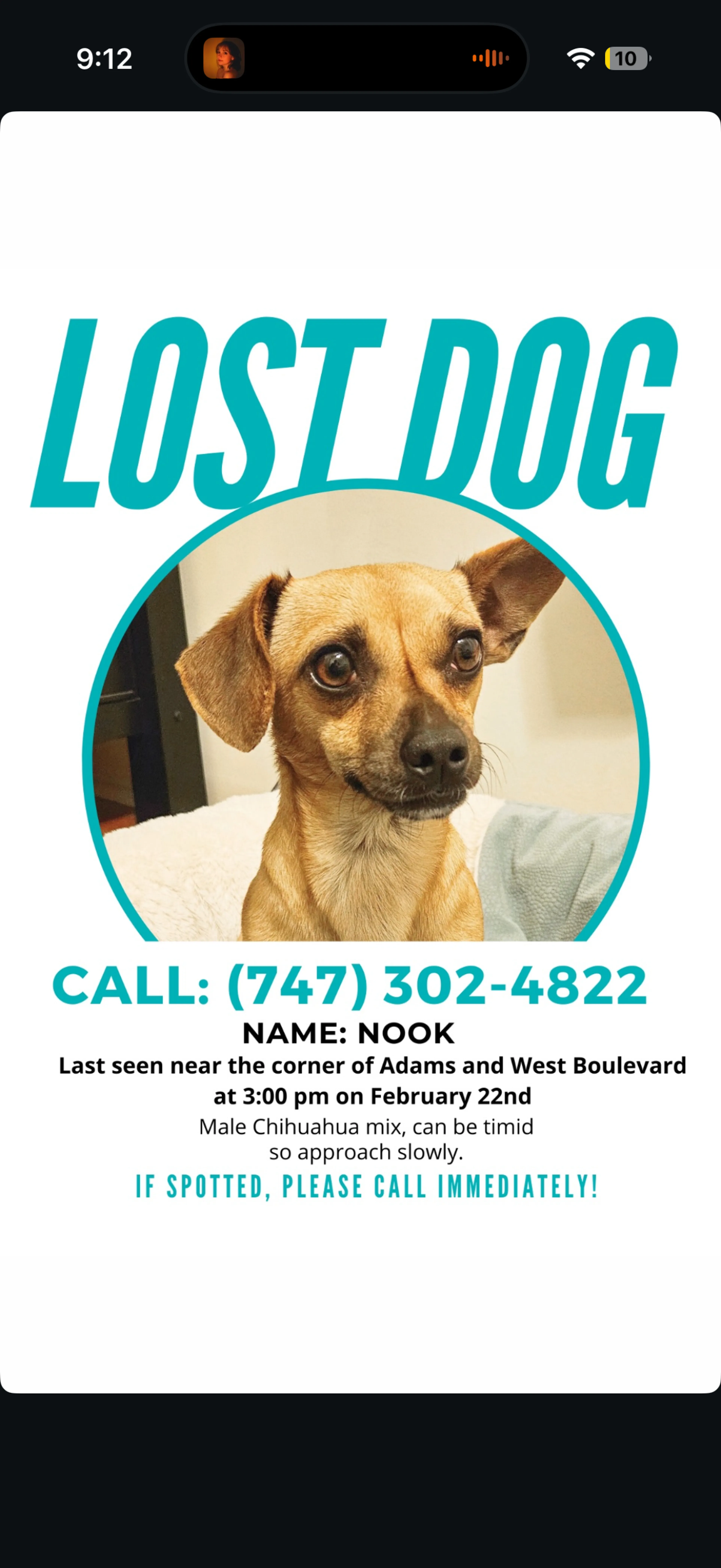 Lost pet