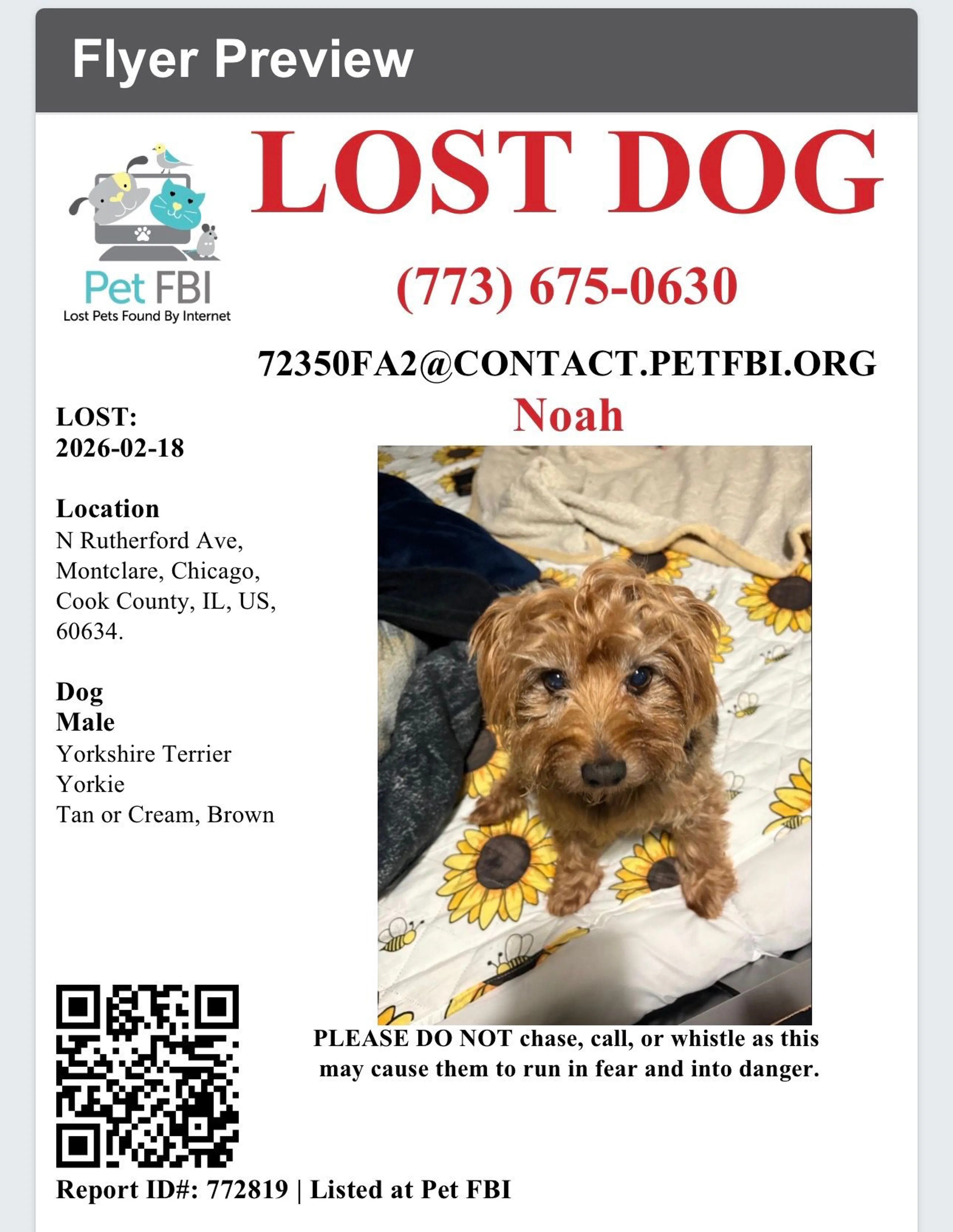 Lost pet