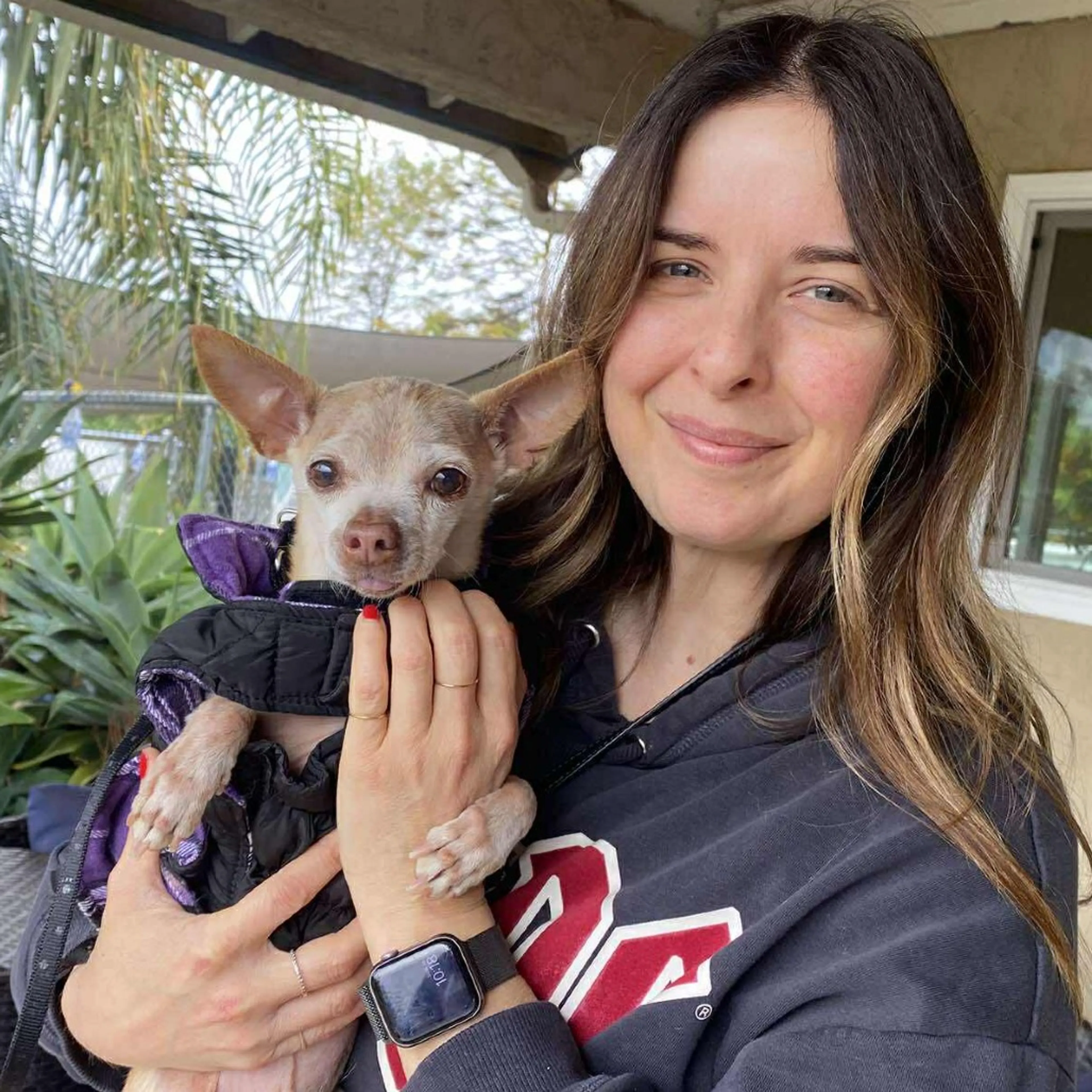 Found pet-1