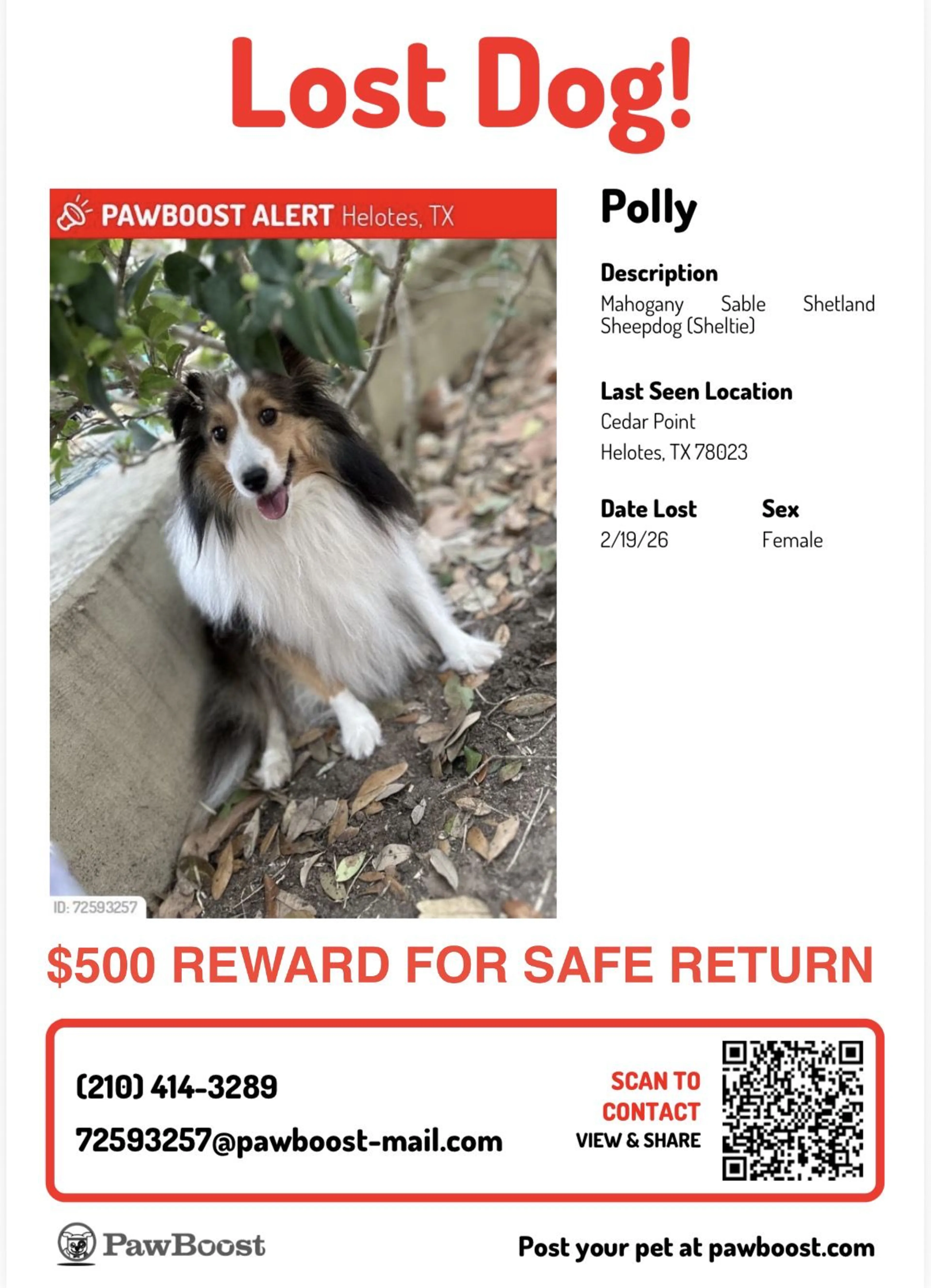 Lost pet
