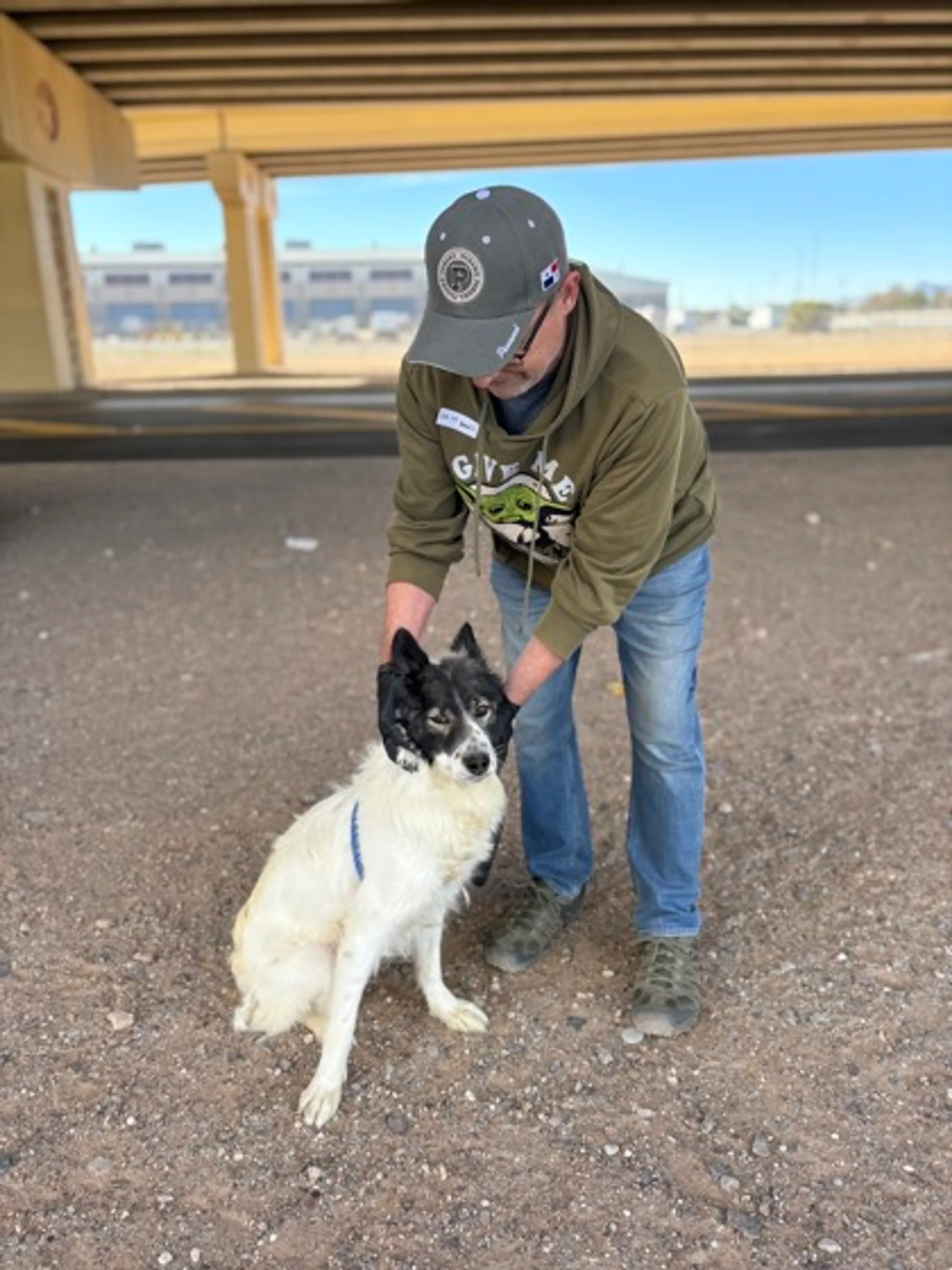 Found pet-1