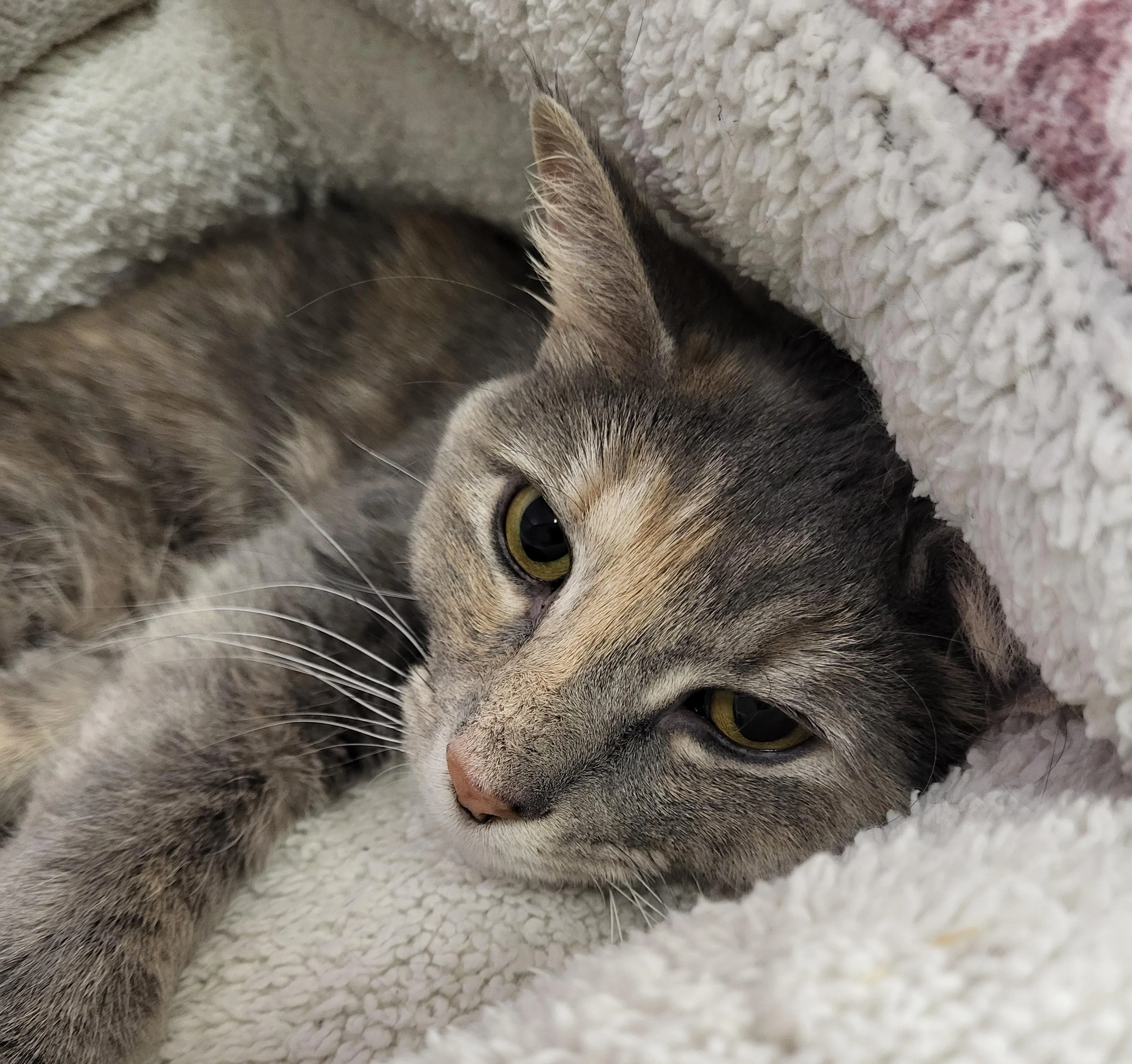 -1