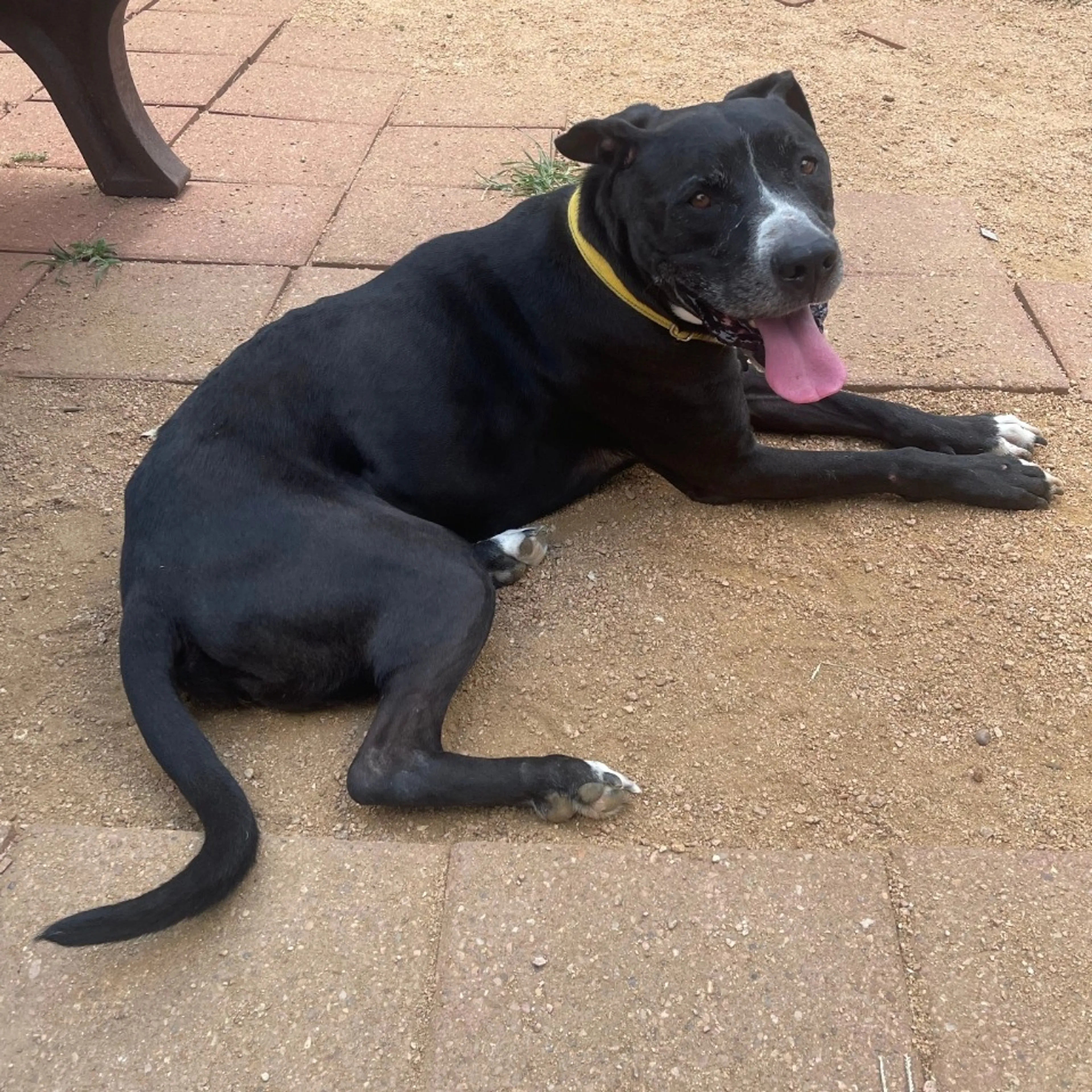 -17