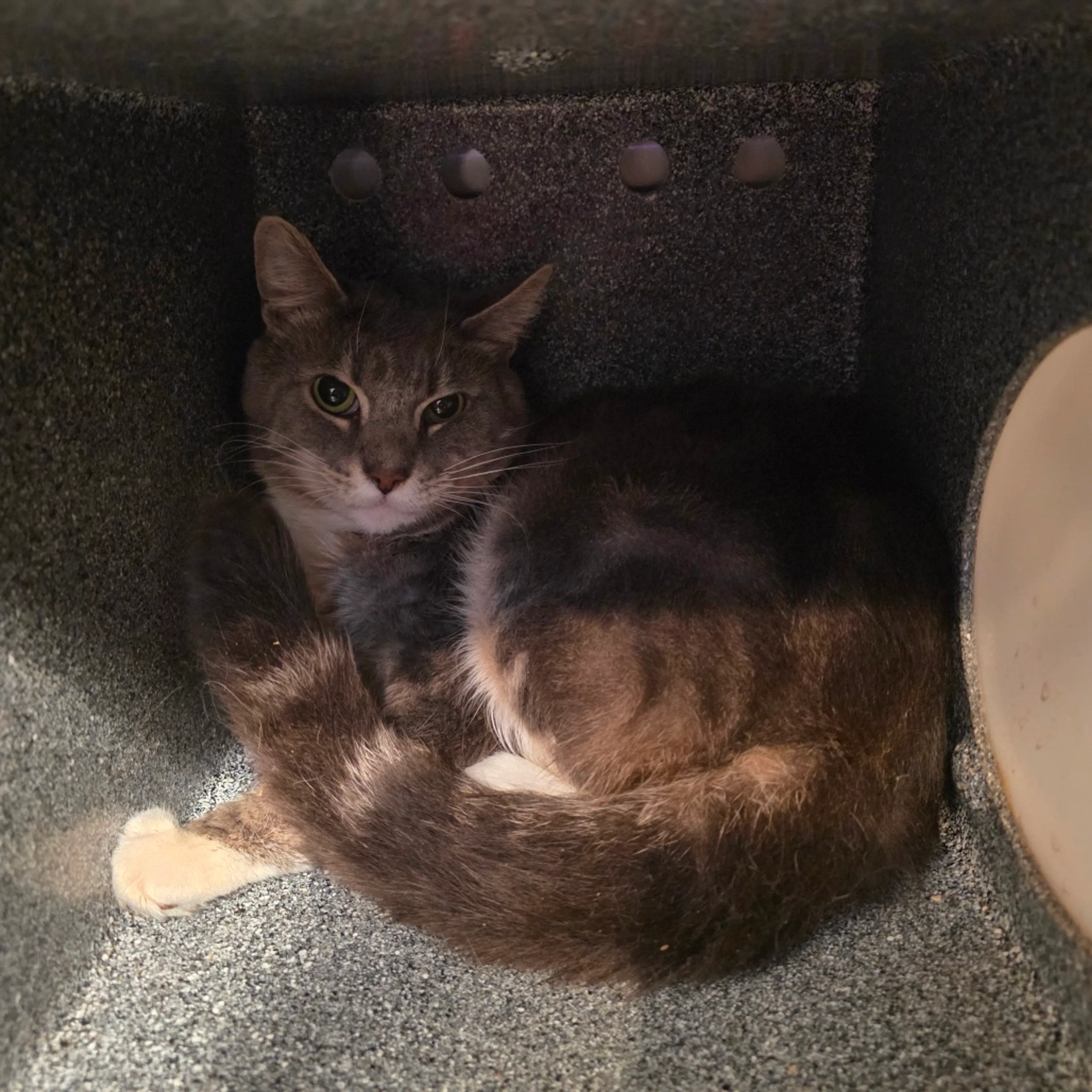 -3