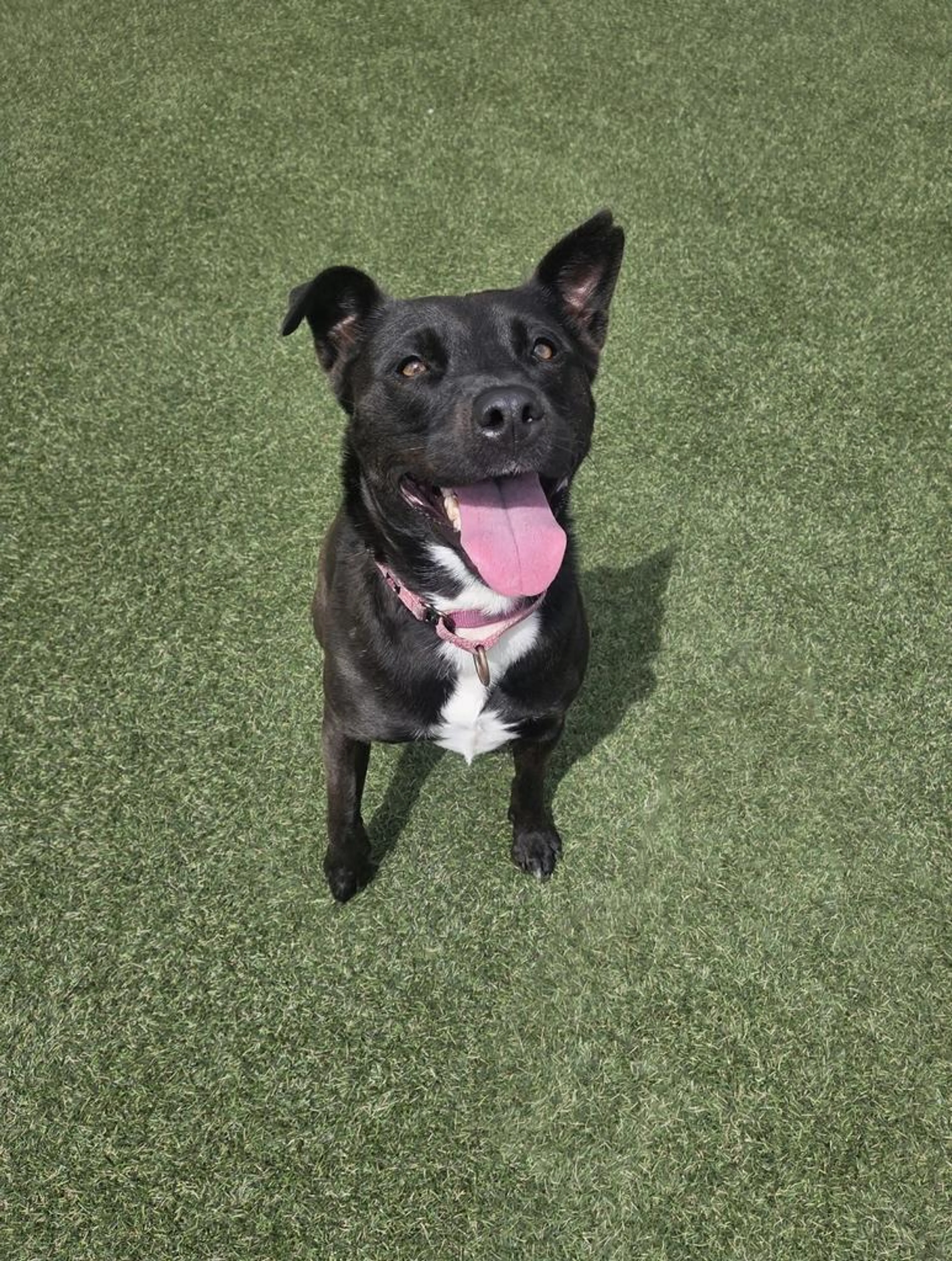 -2