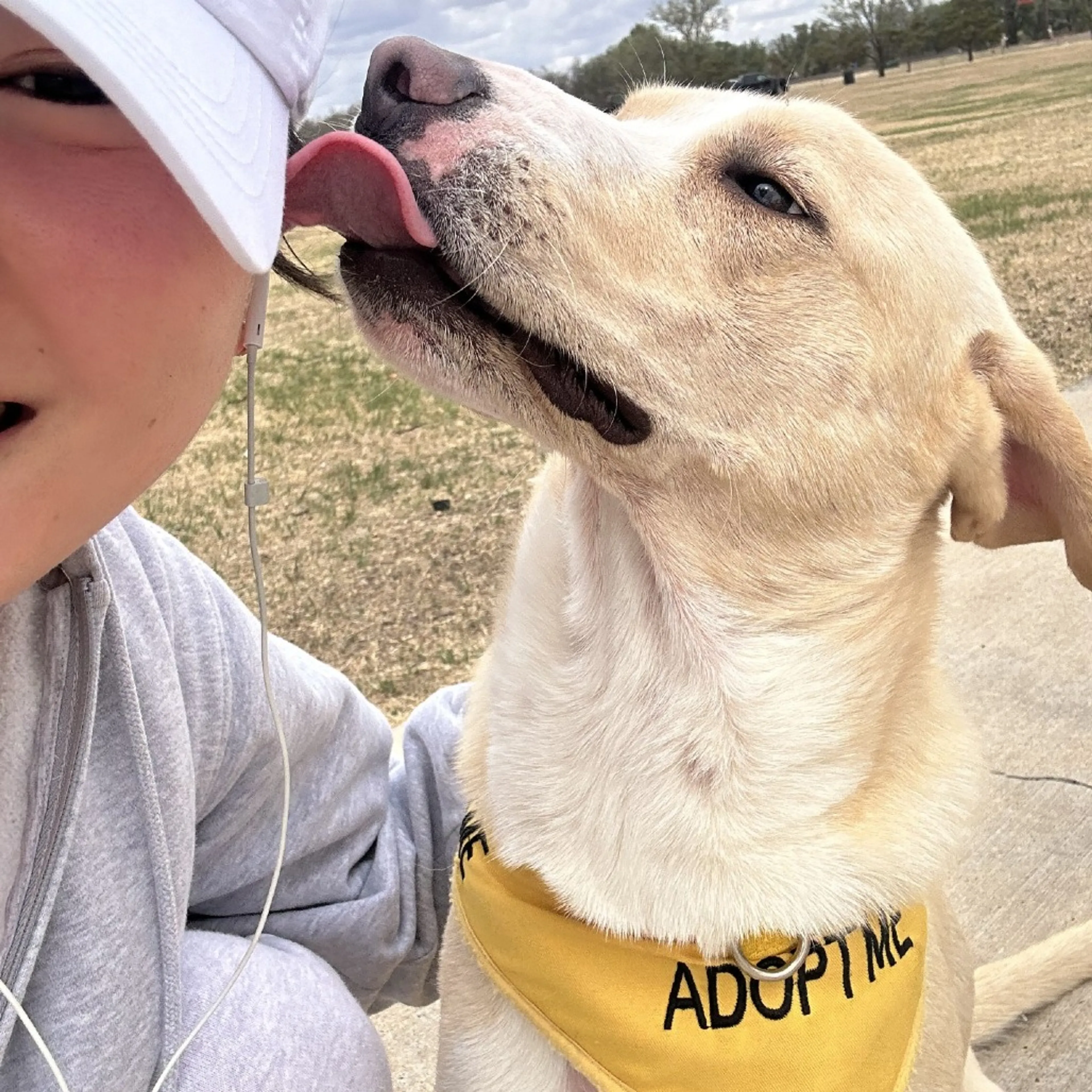 Found pet-4