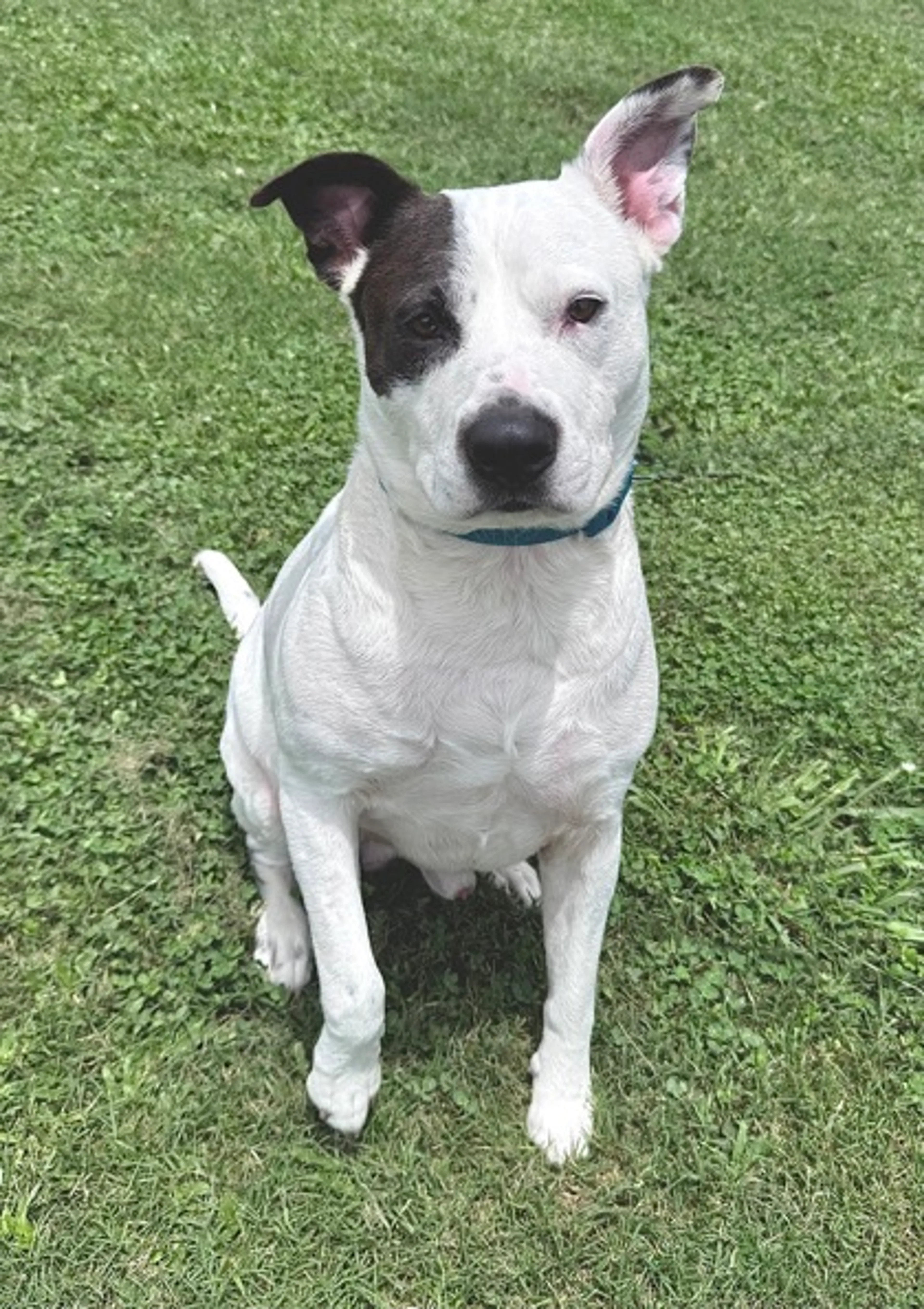 -0