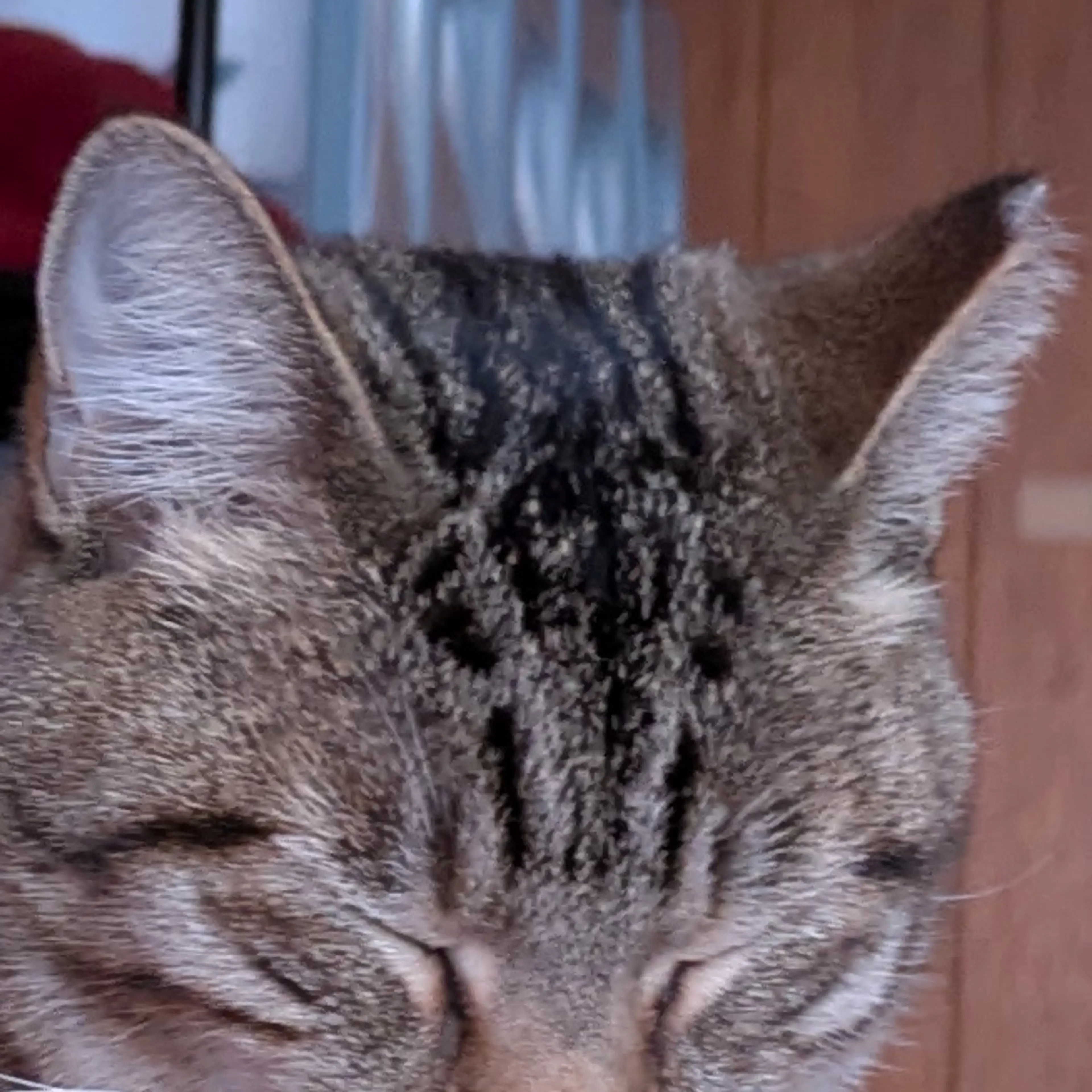 -3