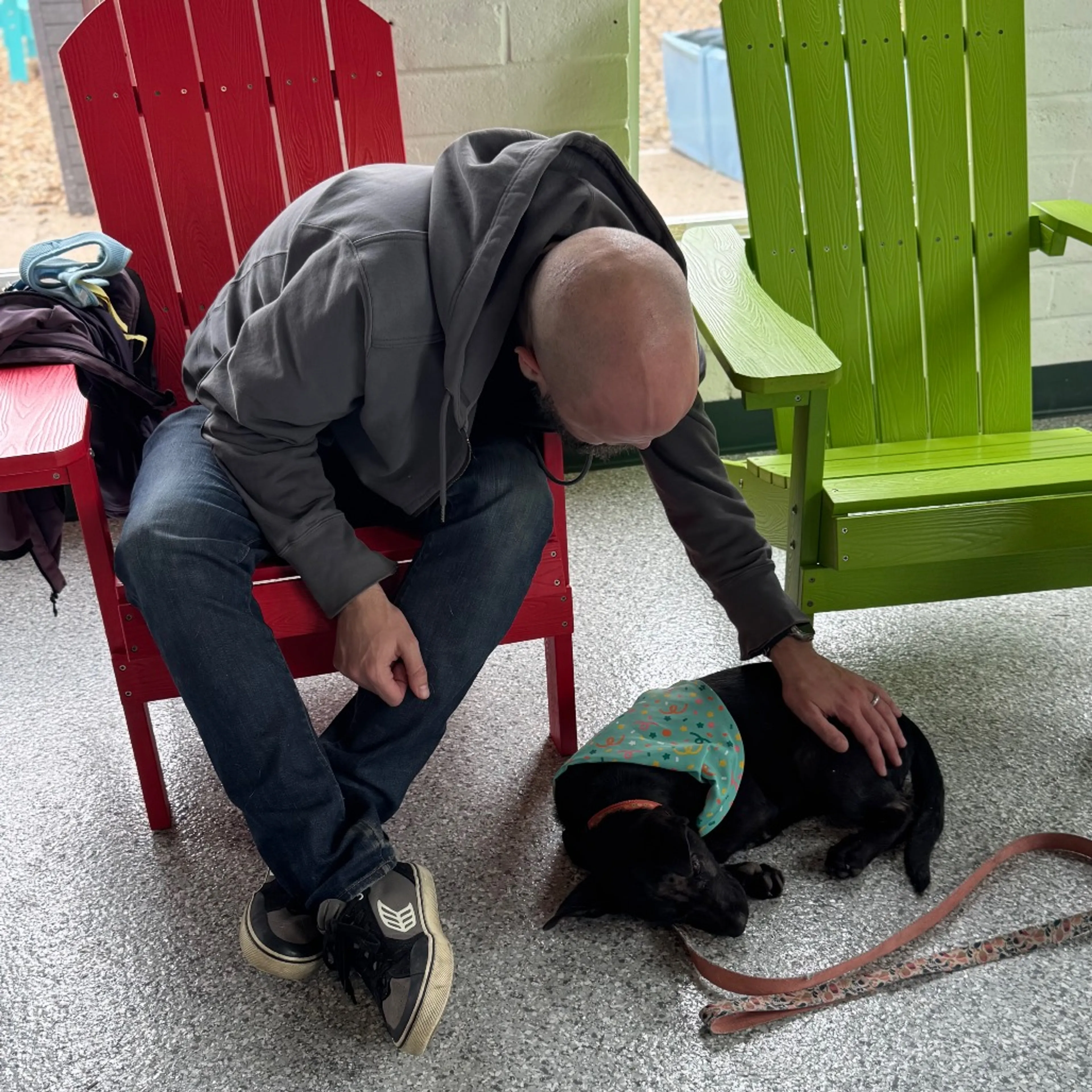 Found pet-28