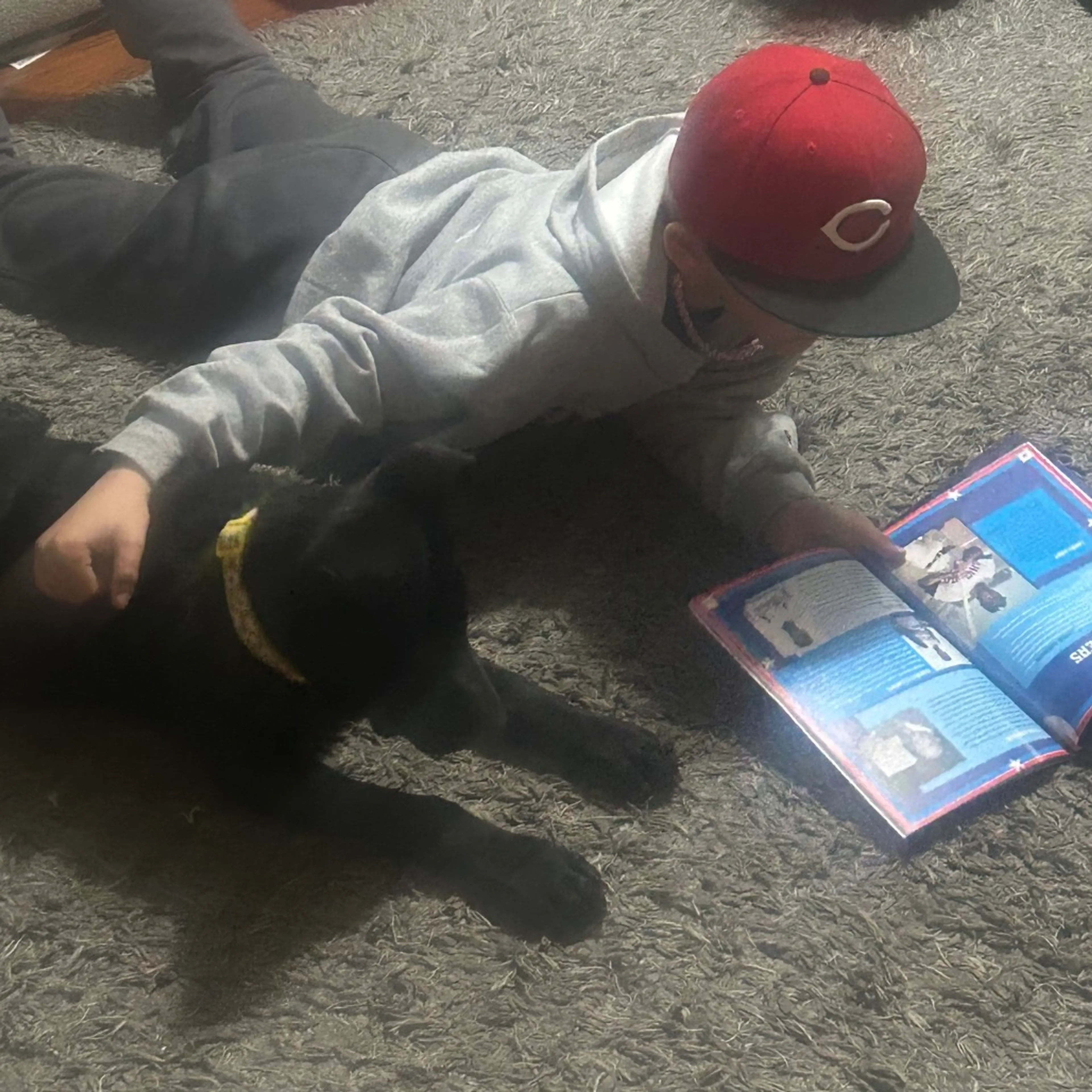 Found pet-44