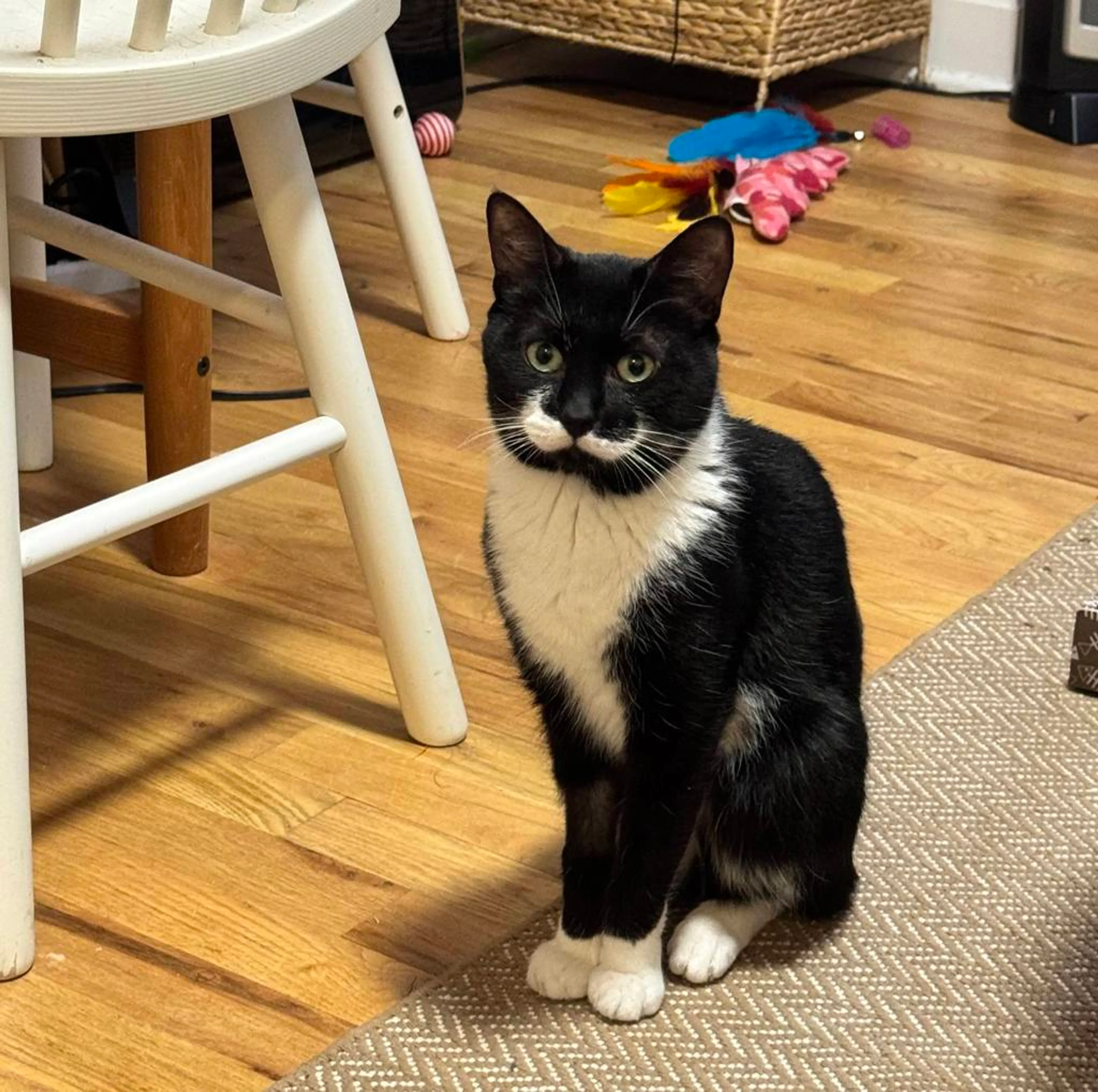 cdn image