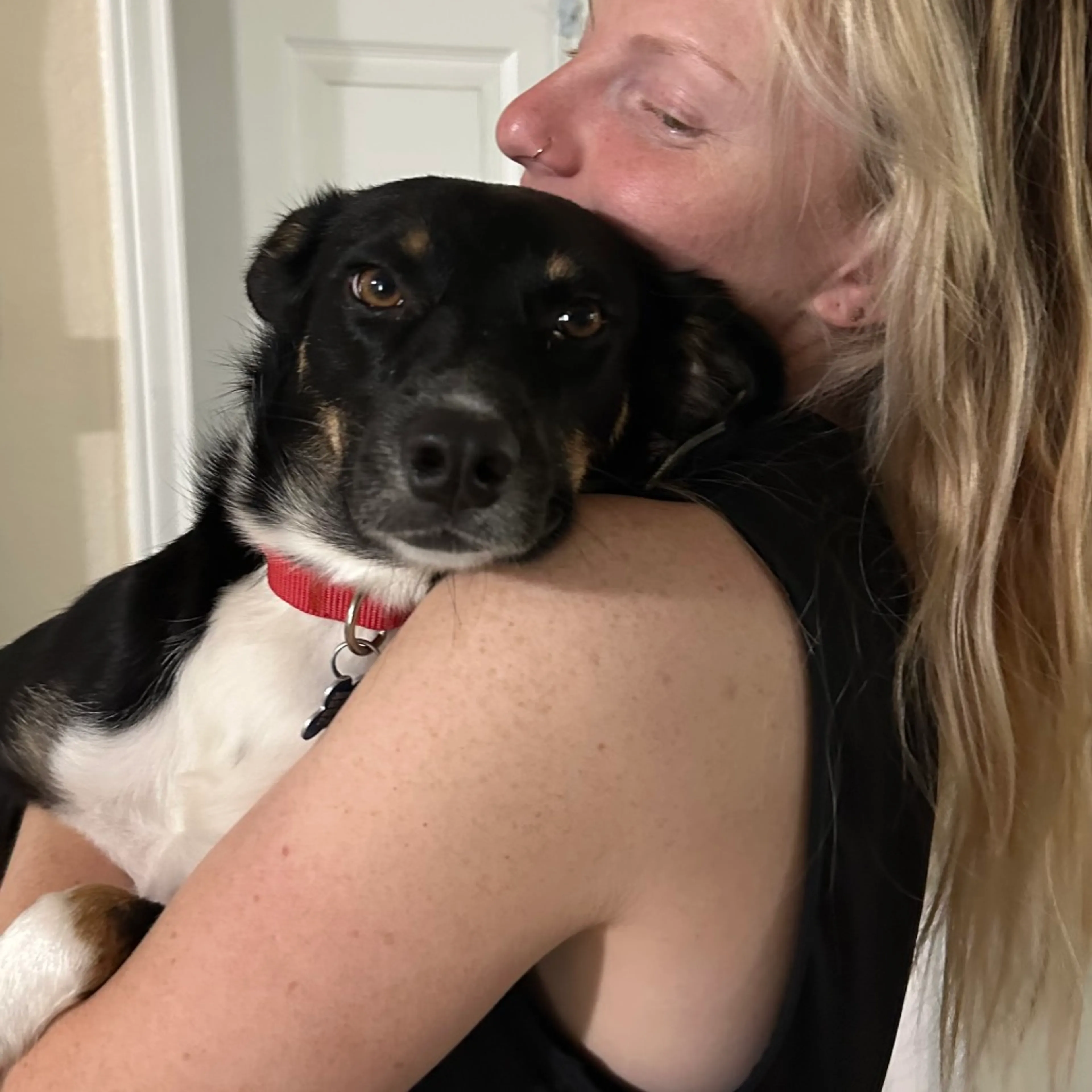 Found pet-5