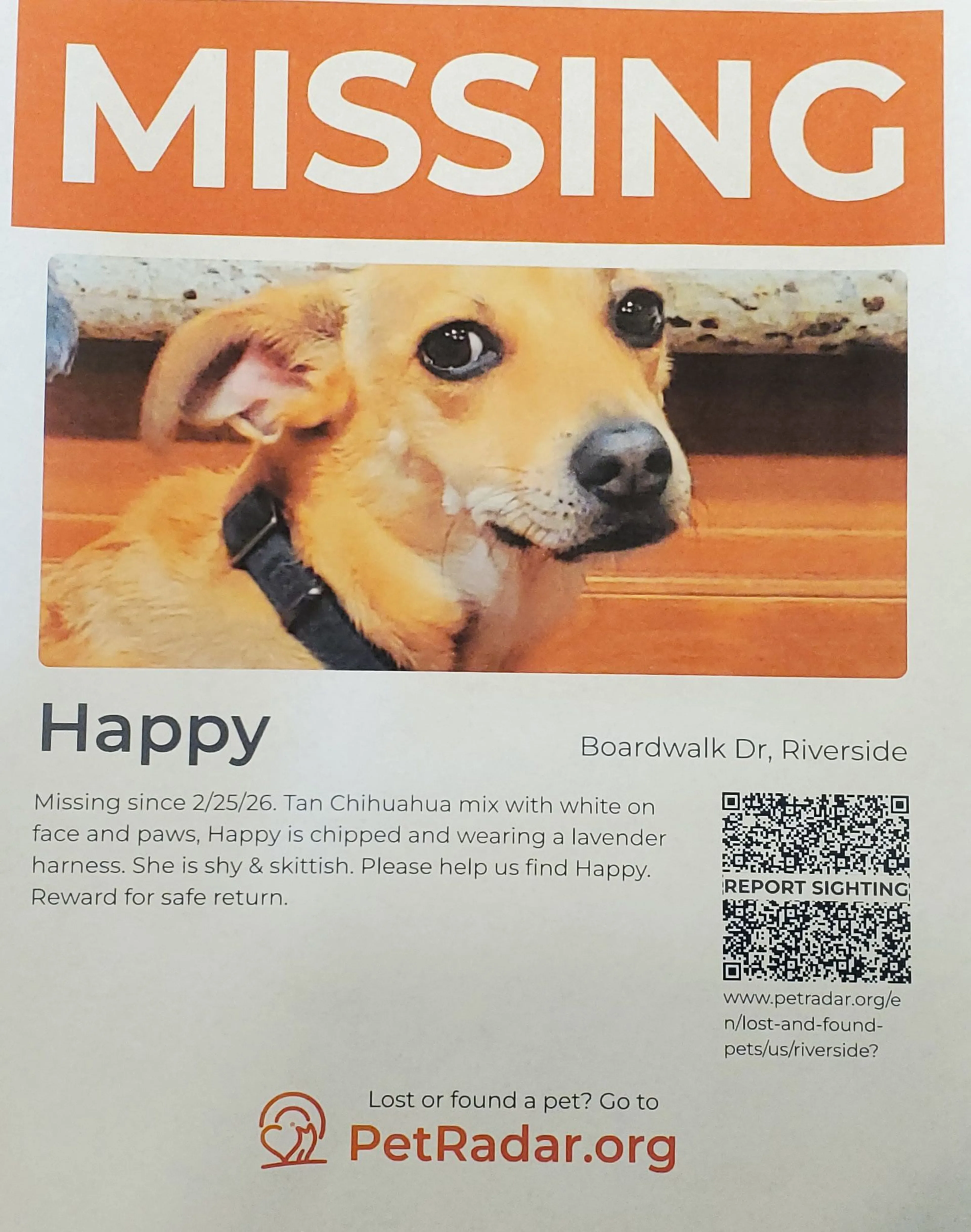 Lost pet