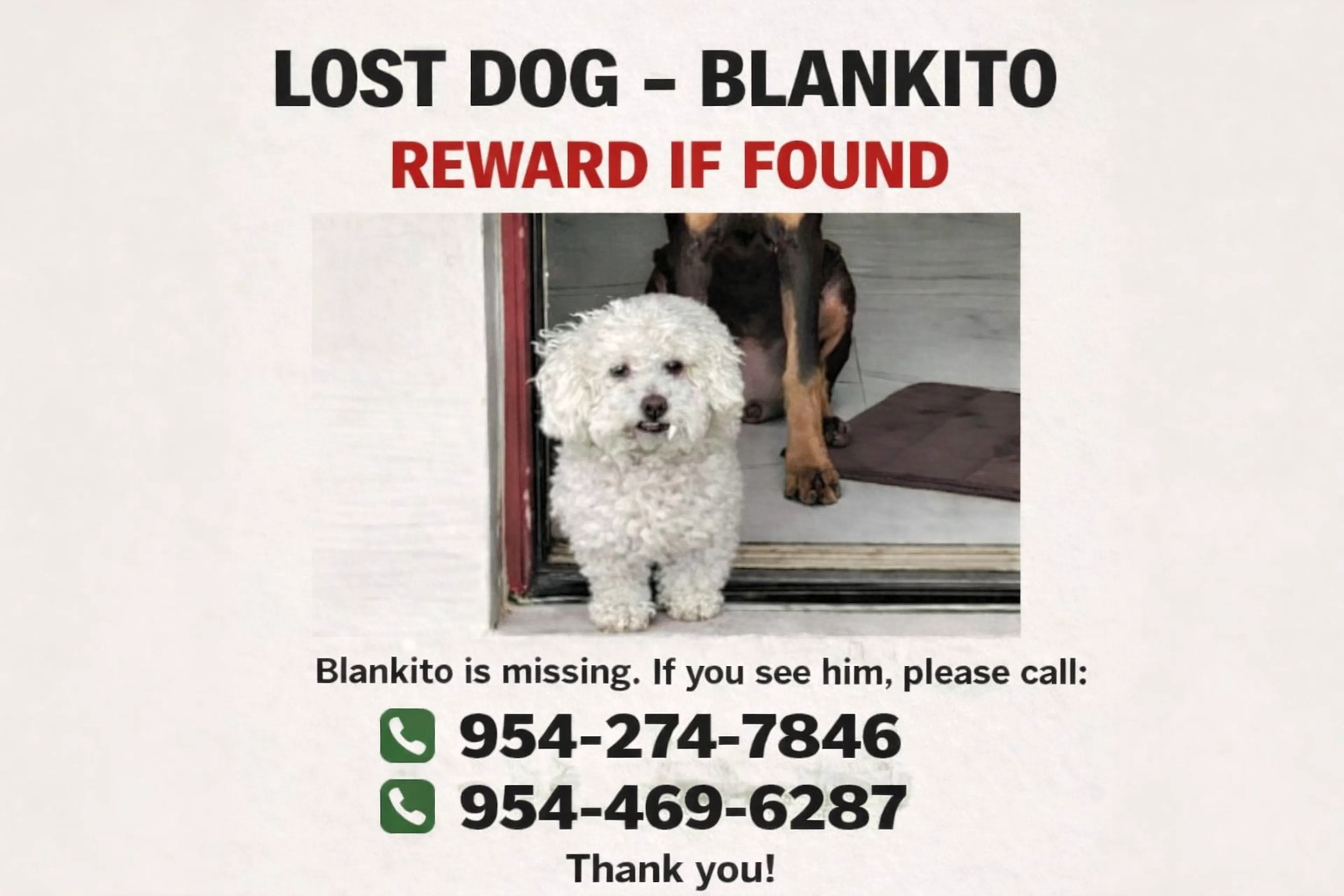 Lost pet