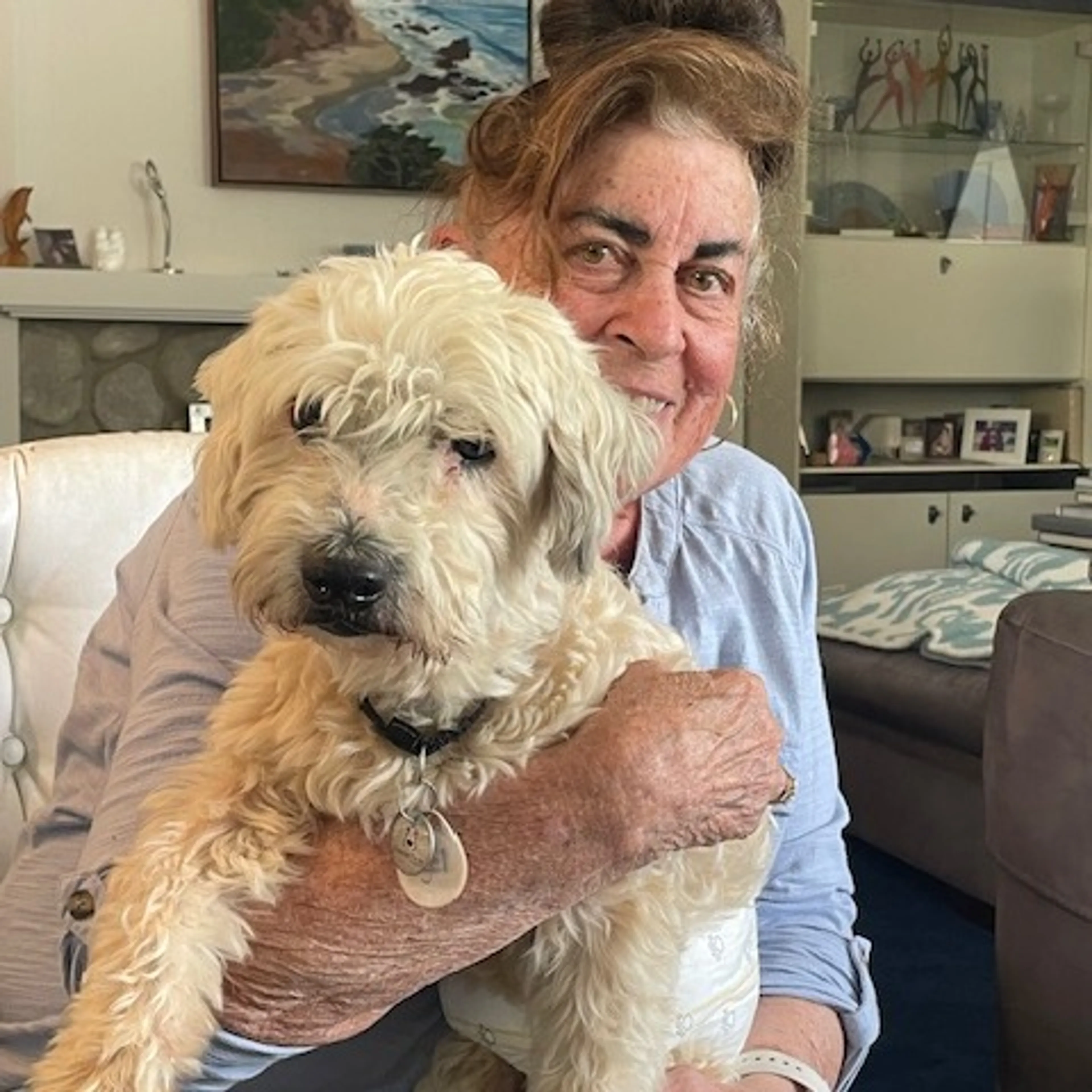 Found pet-9