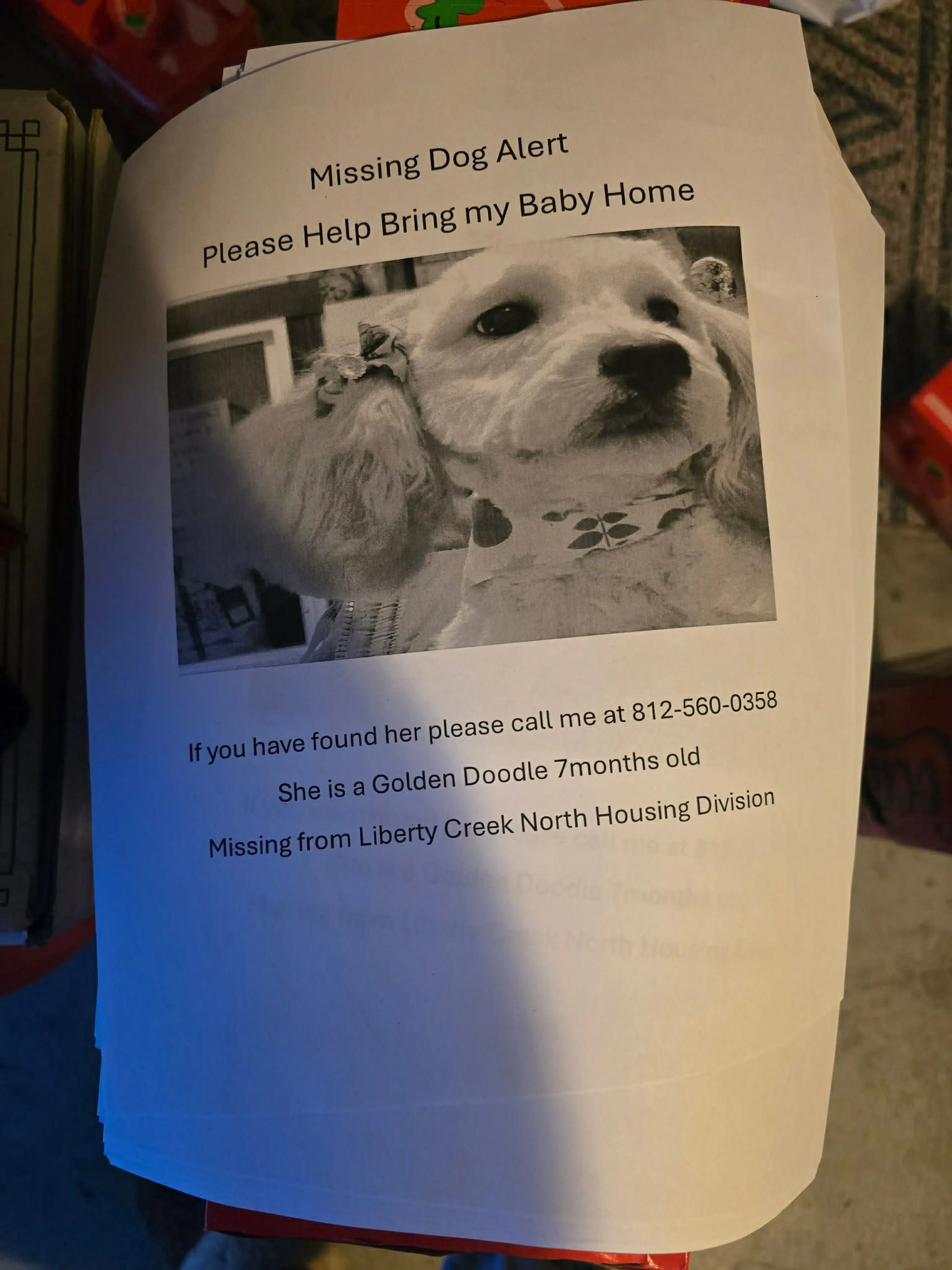 Lost pet