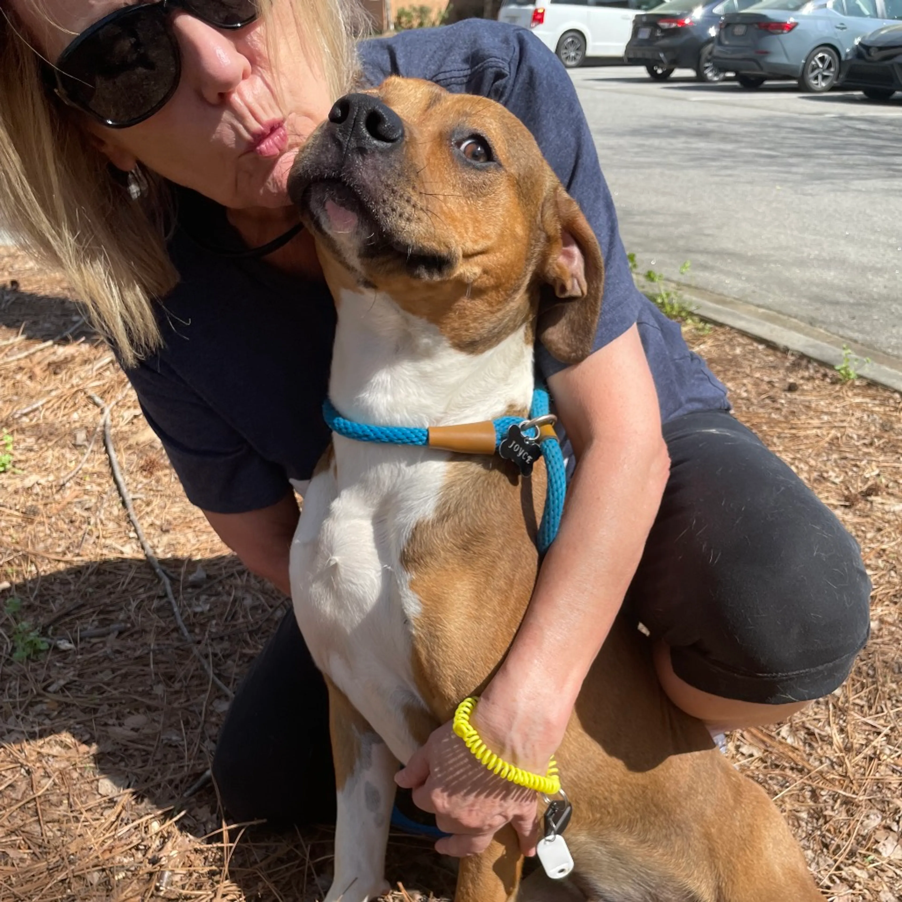 Found pet-5