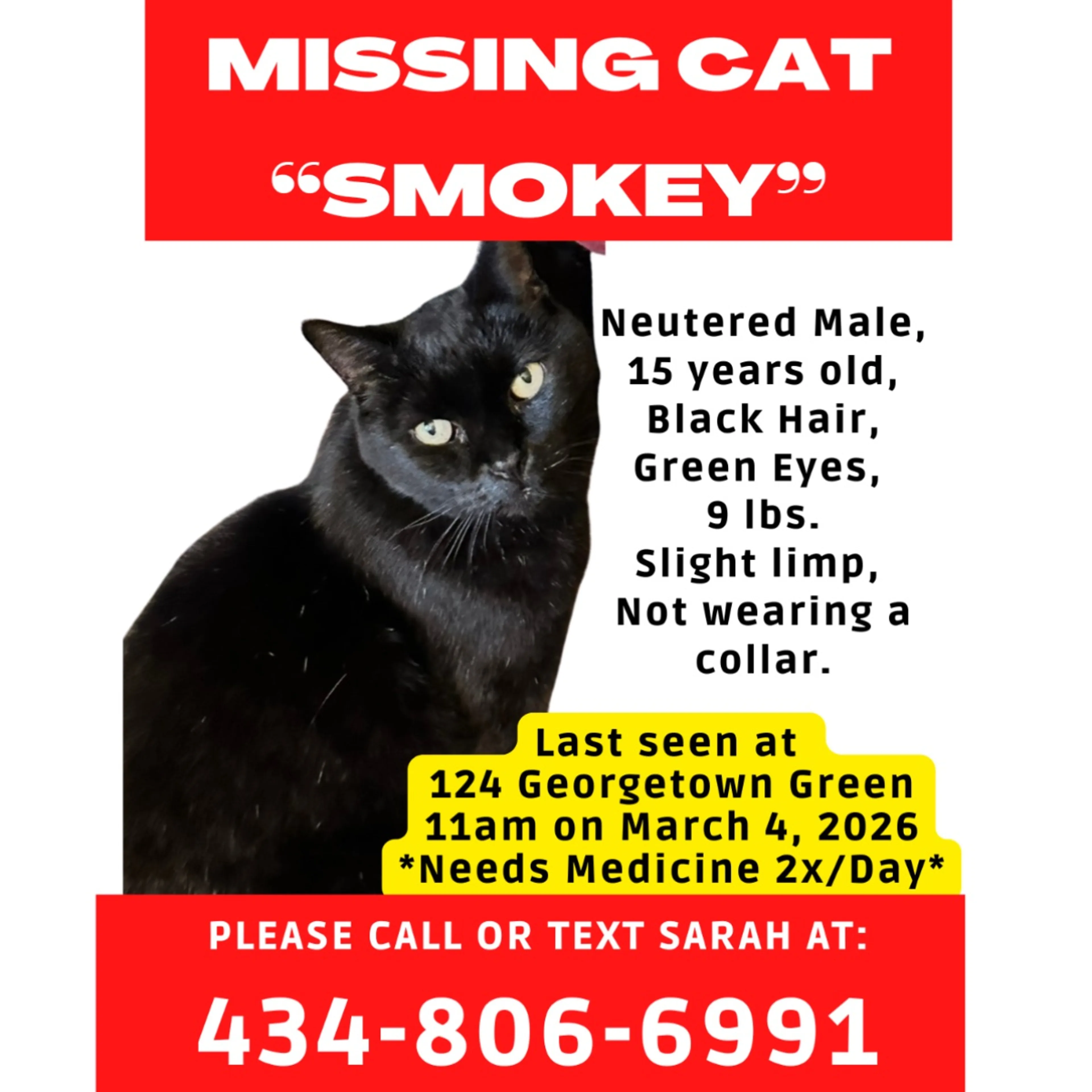 Lost pet