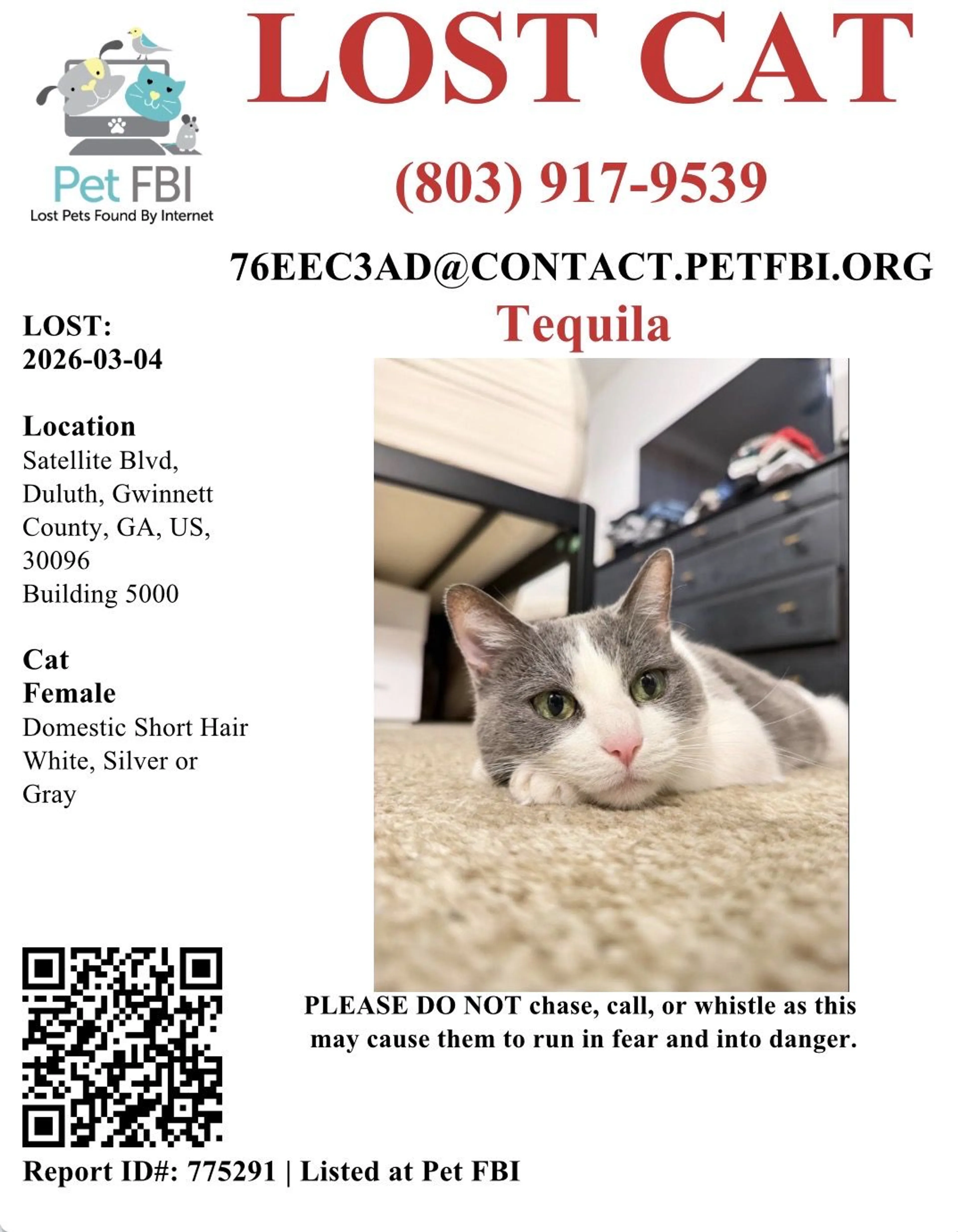 Lost pet