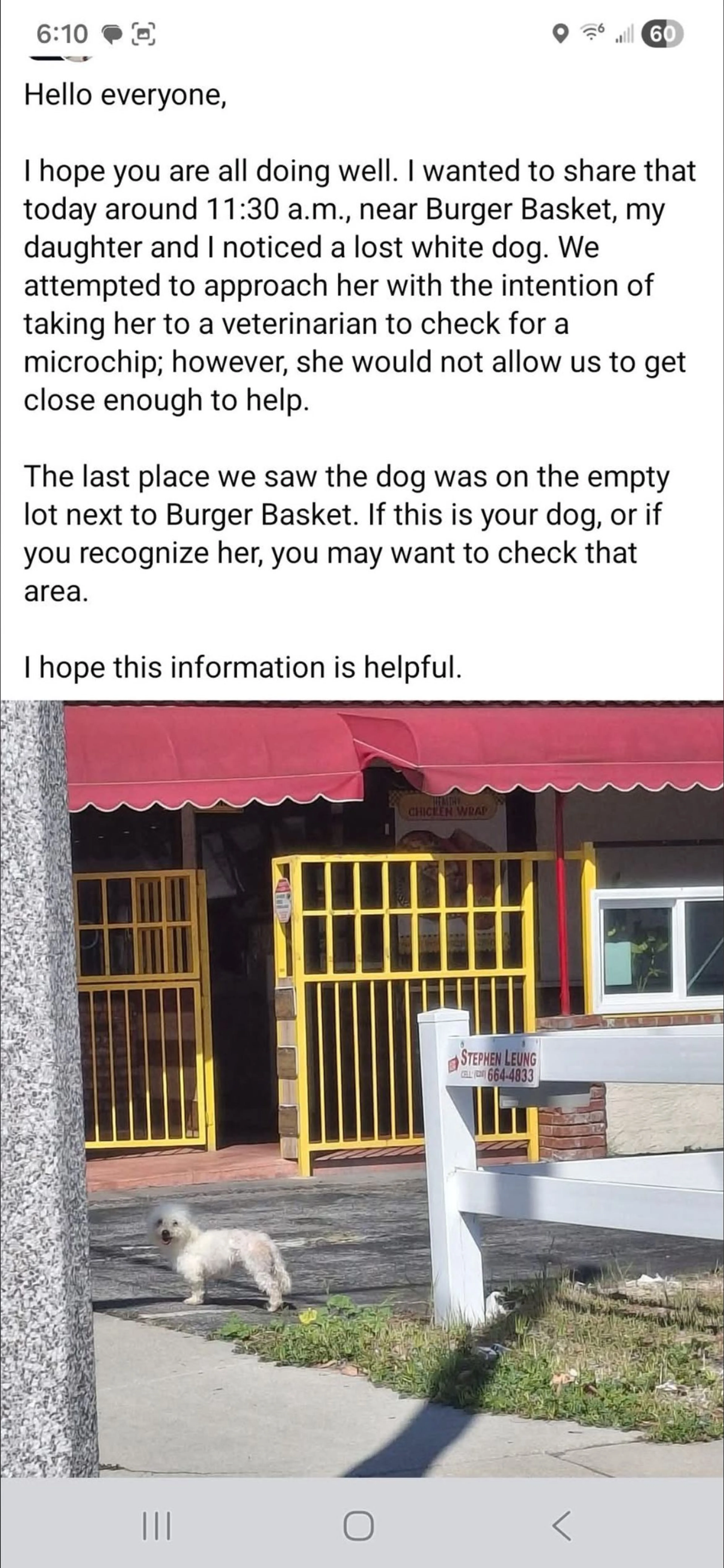 Lost pet-1