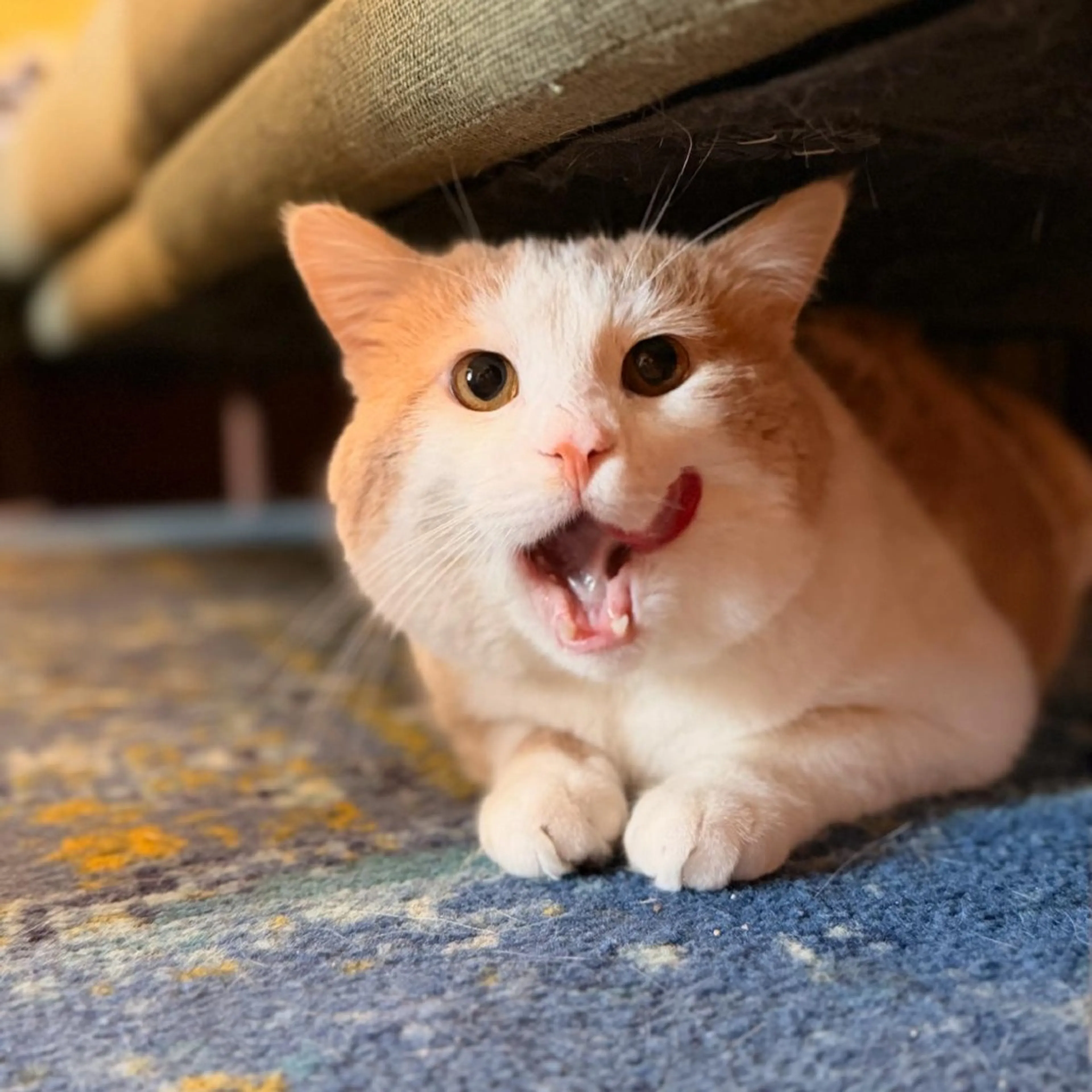 -3