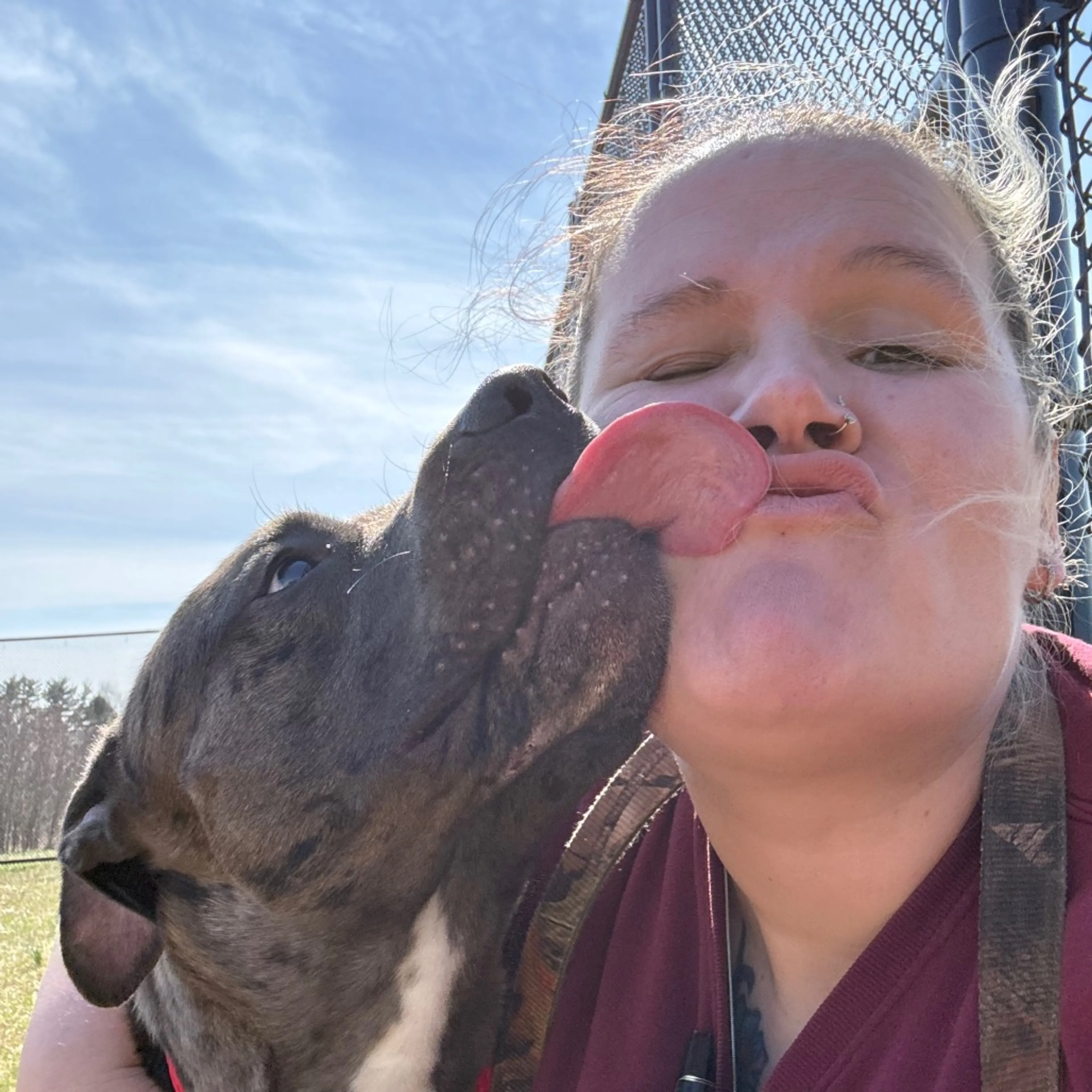Found pet-14