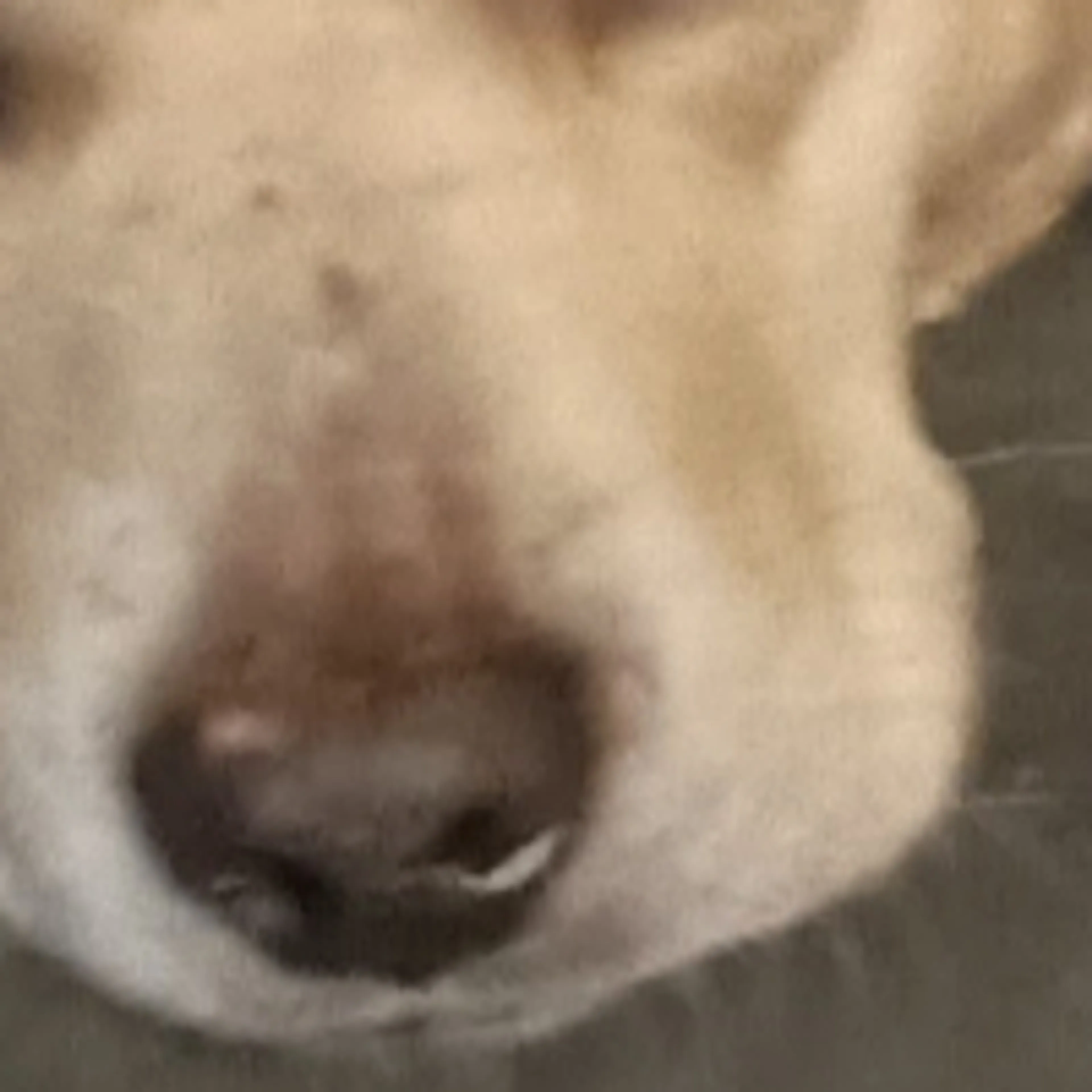 -3