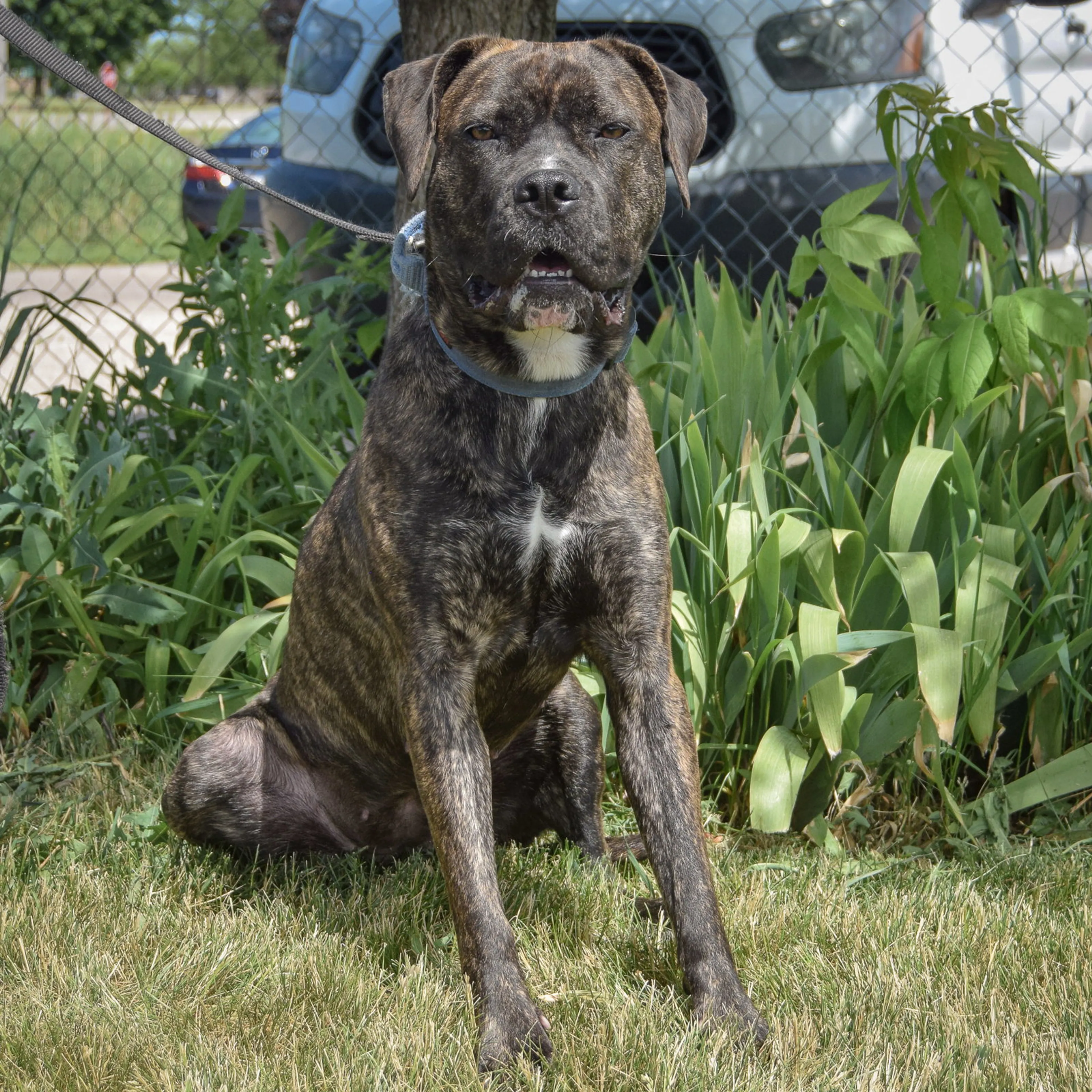 -1