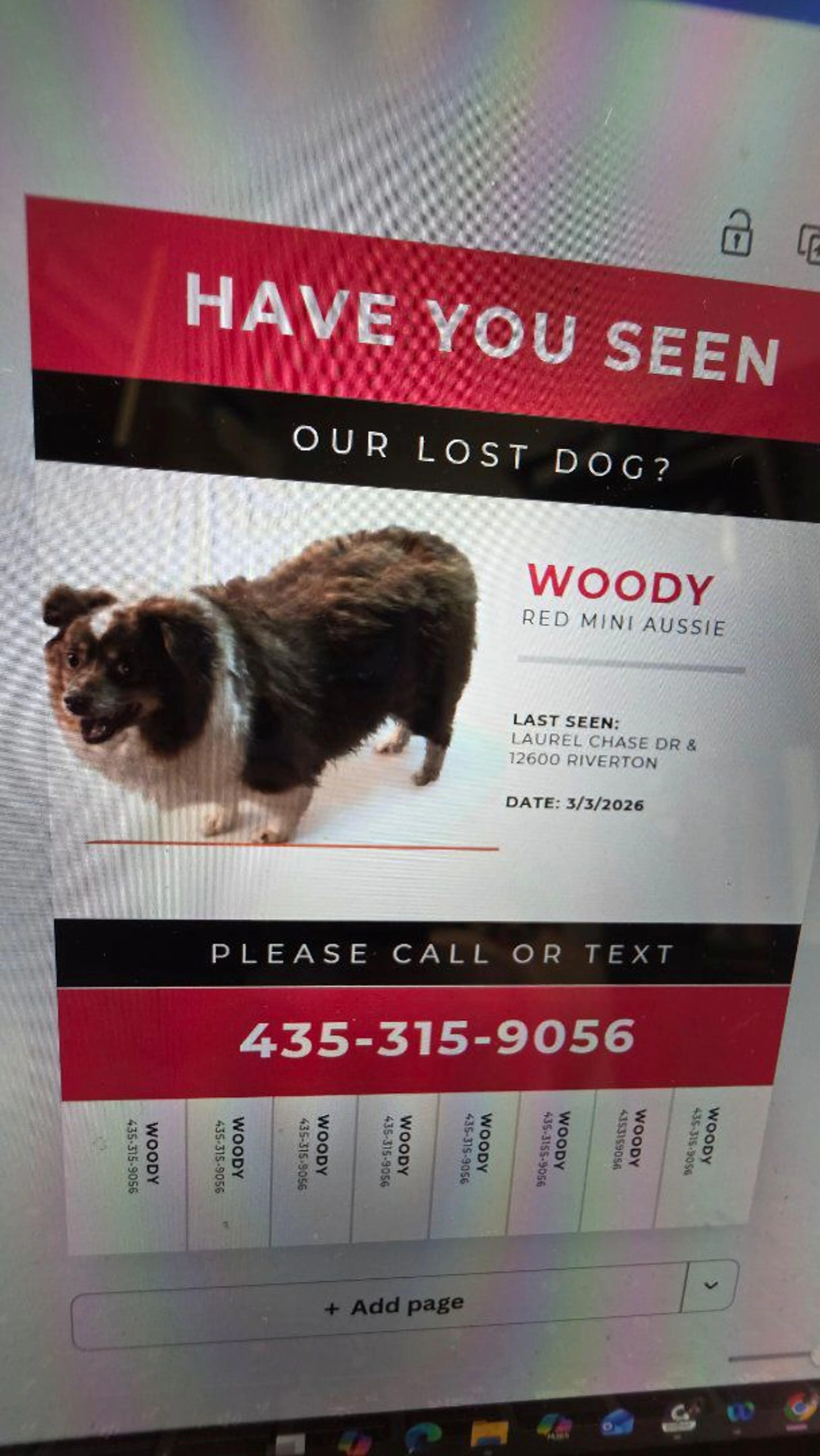 Lost pet-0