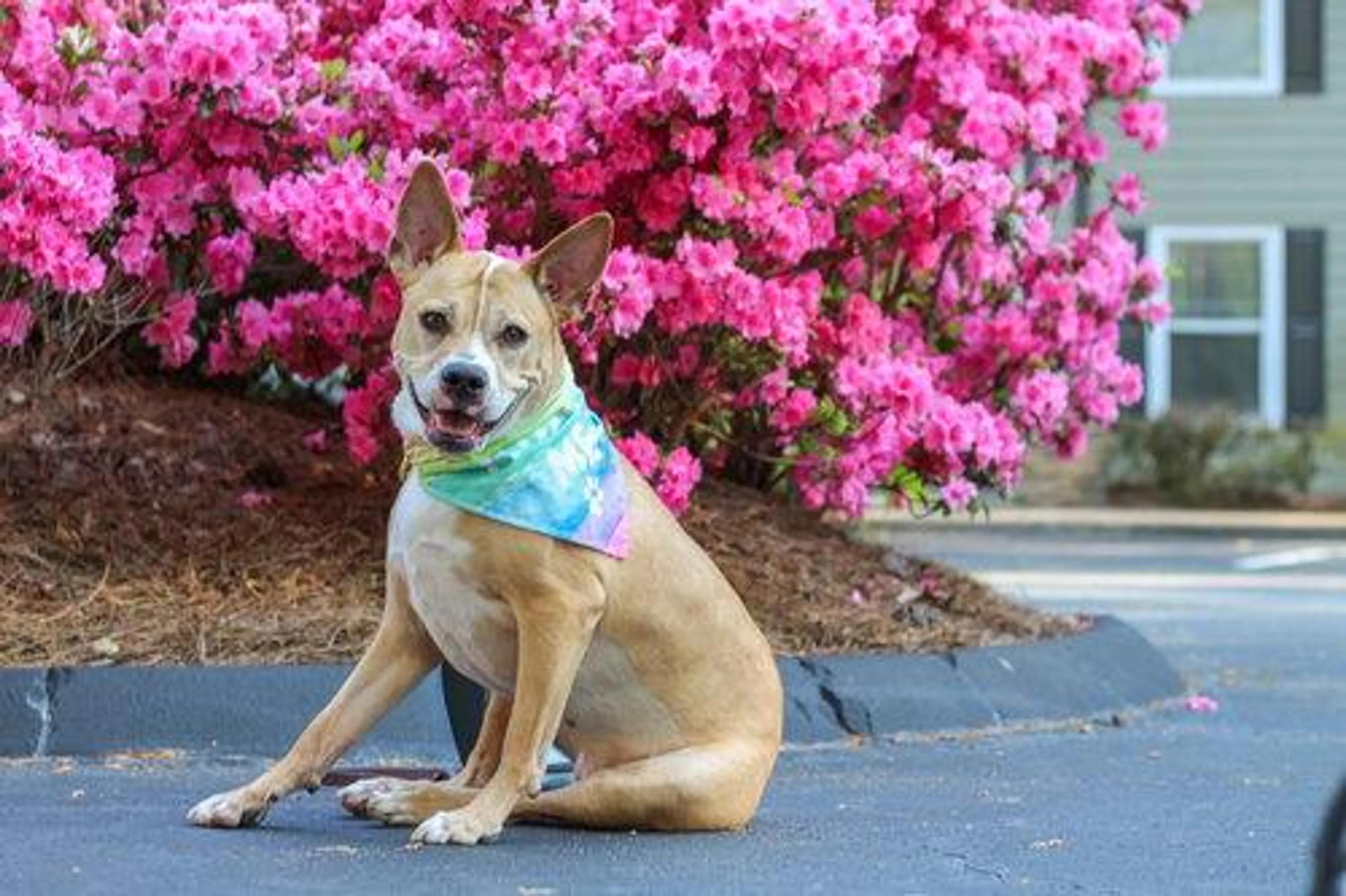 -0