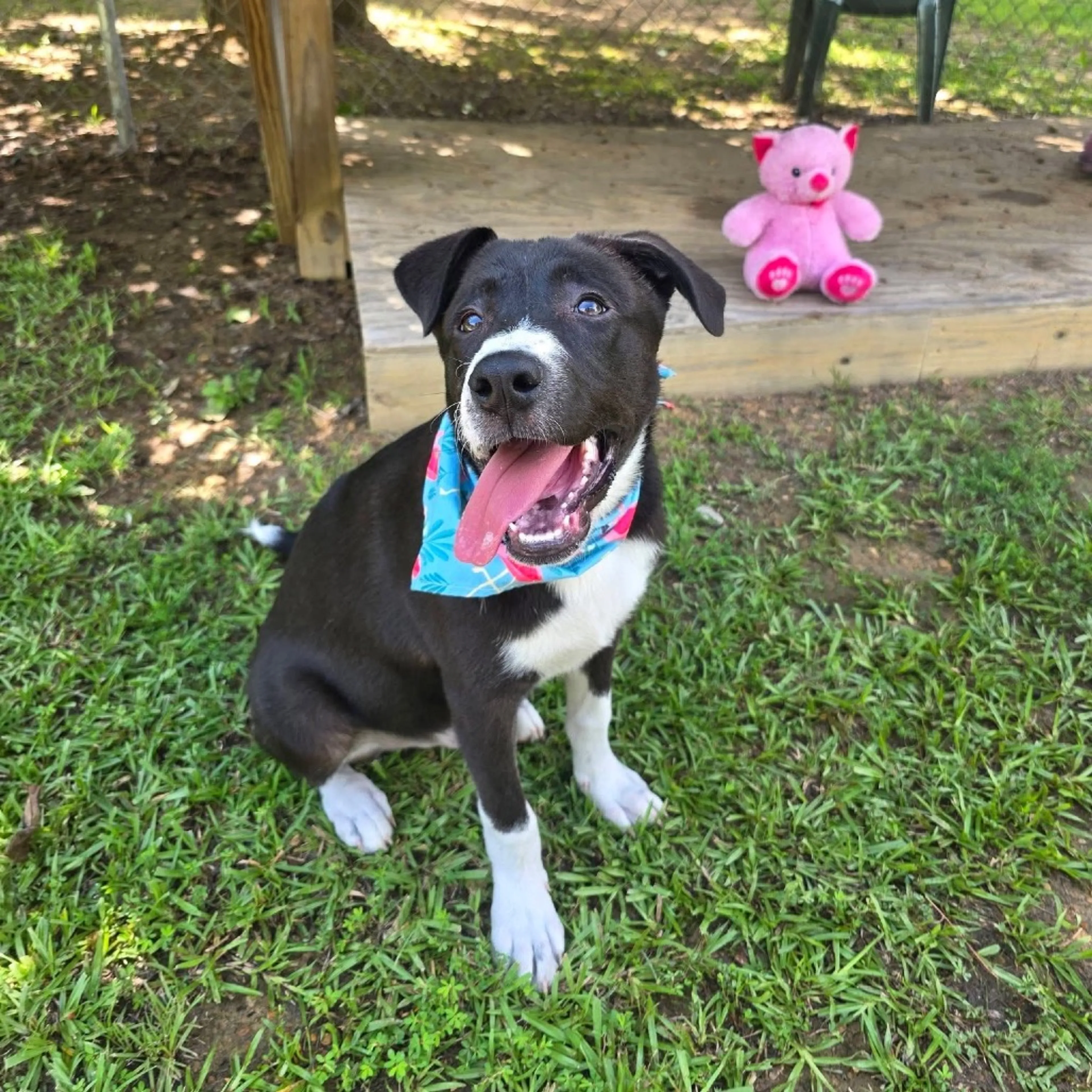 -31