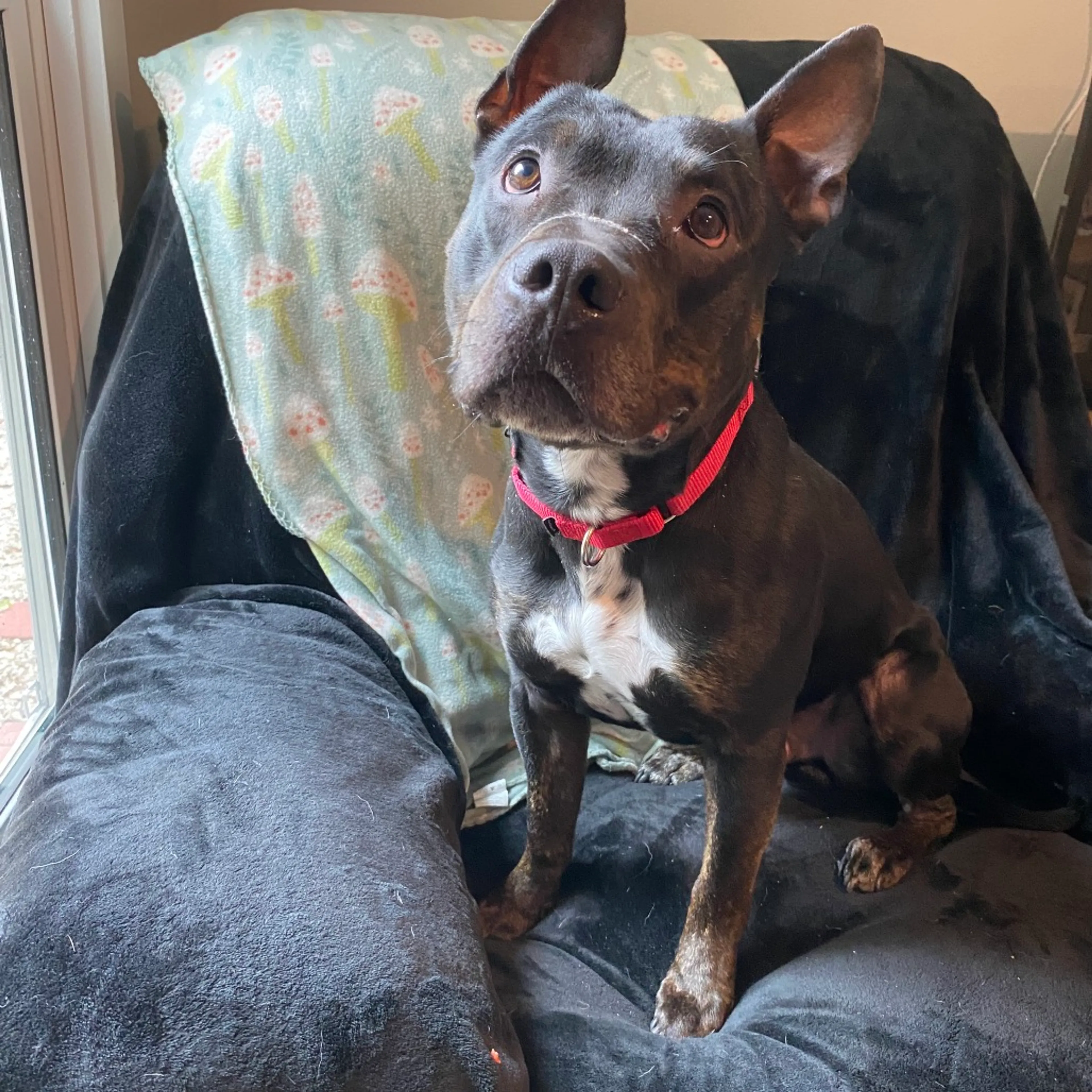 -1
