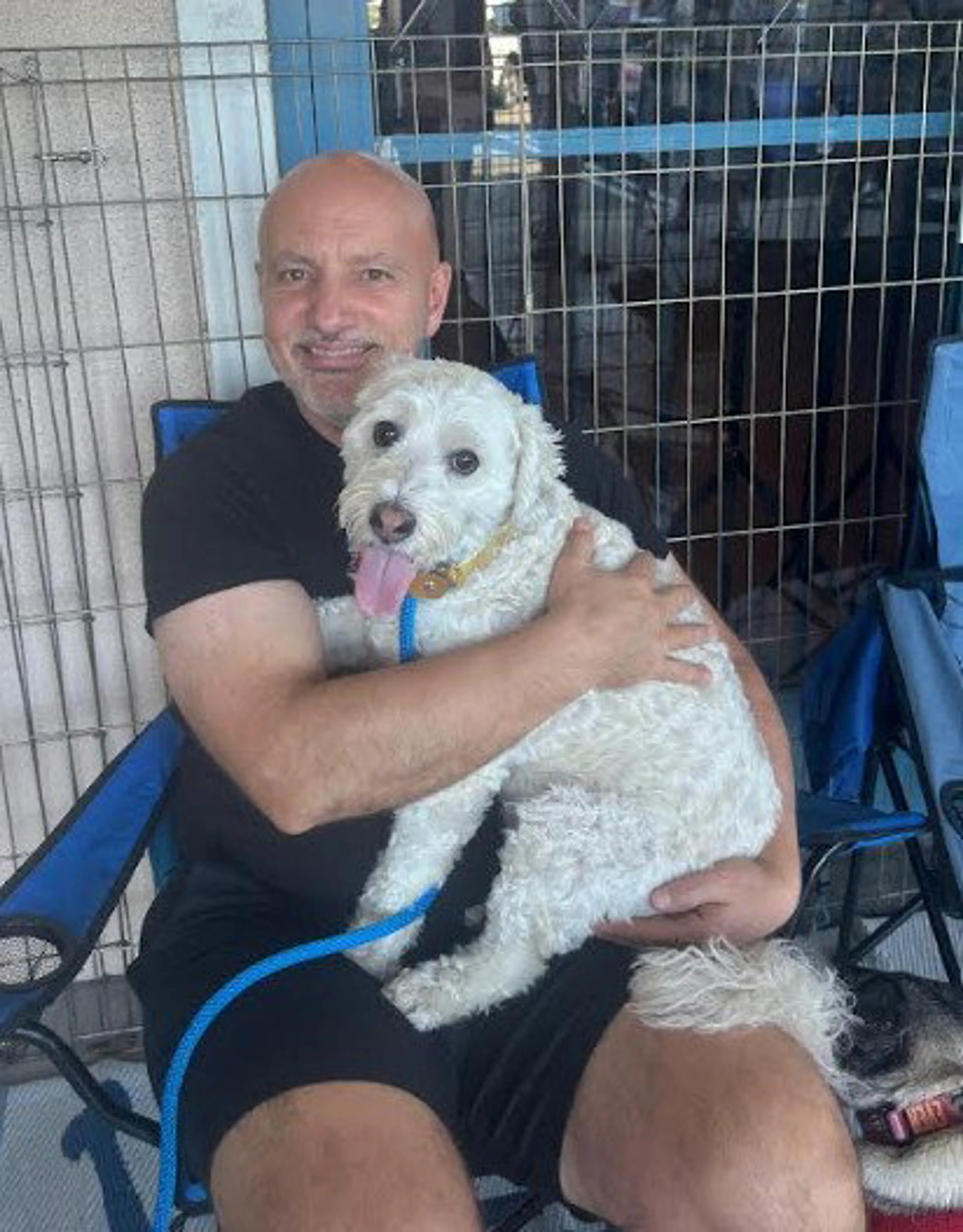 Found pet-3