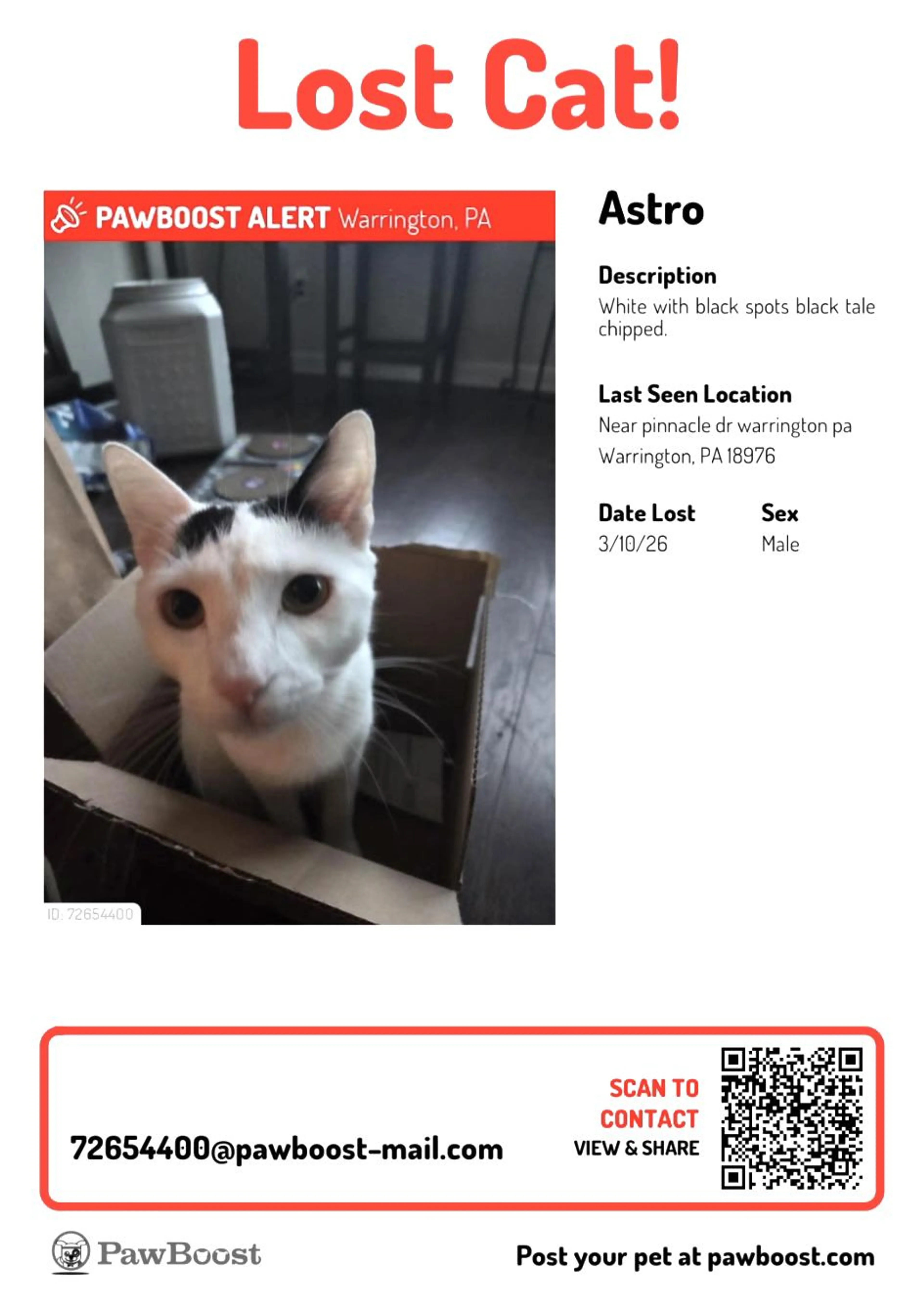Lost pet