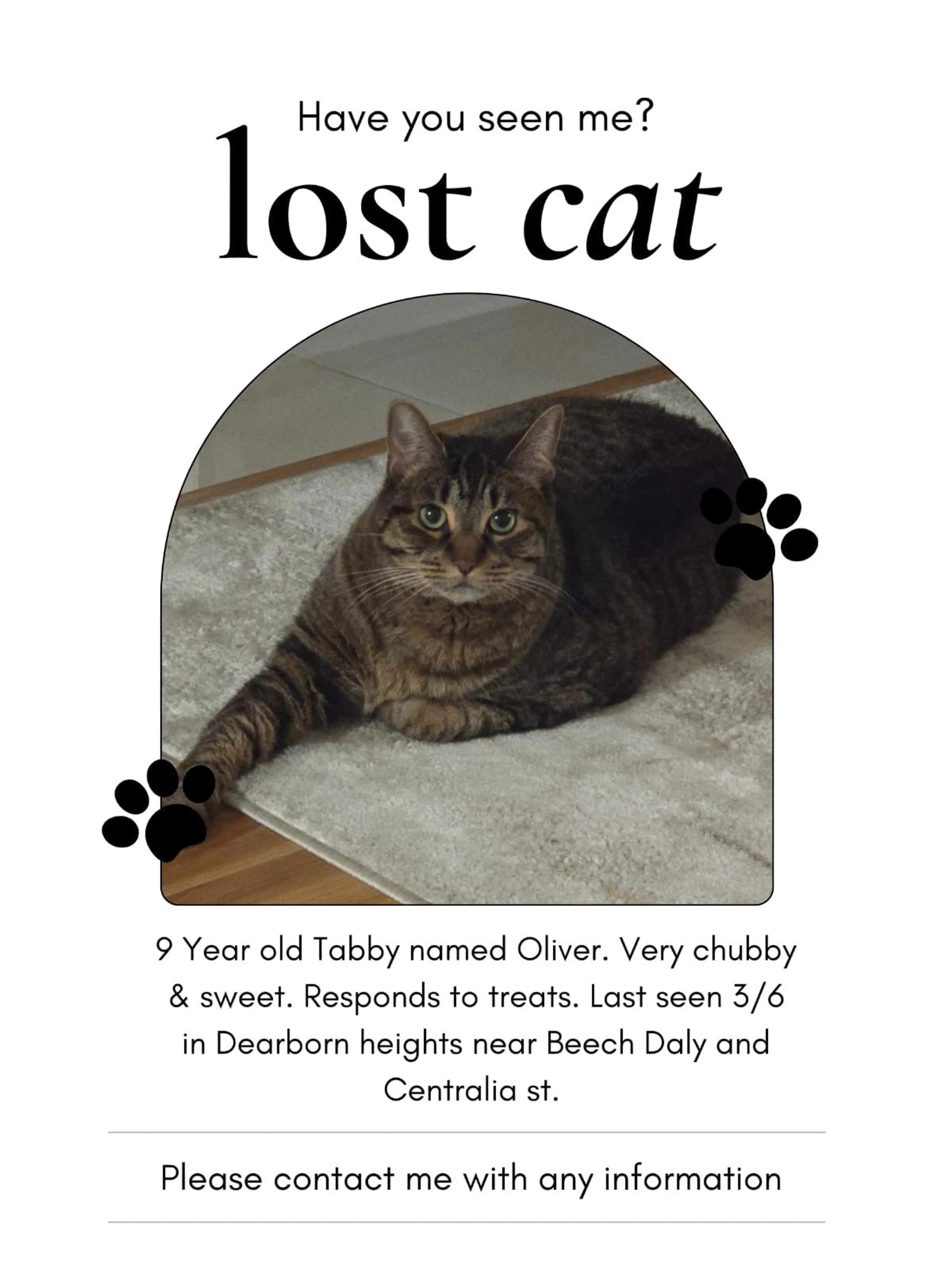 Lost pet