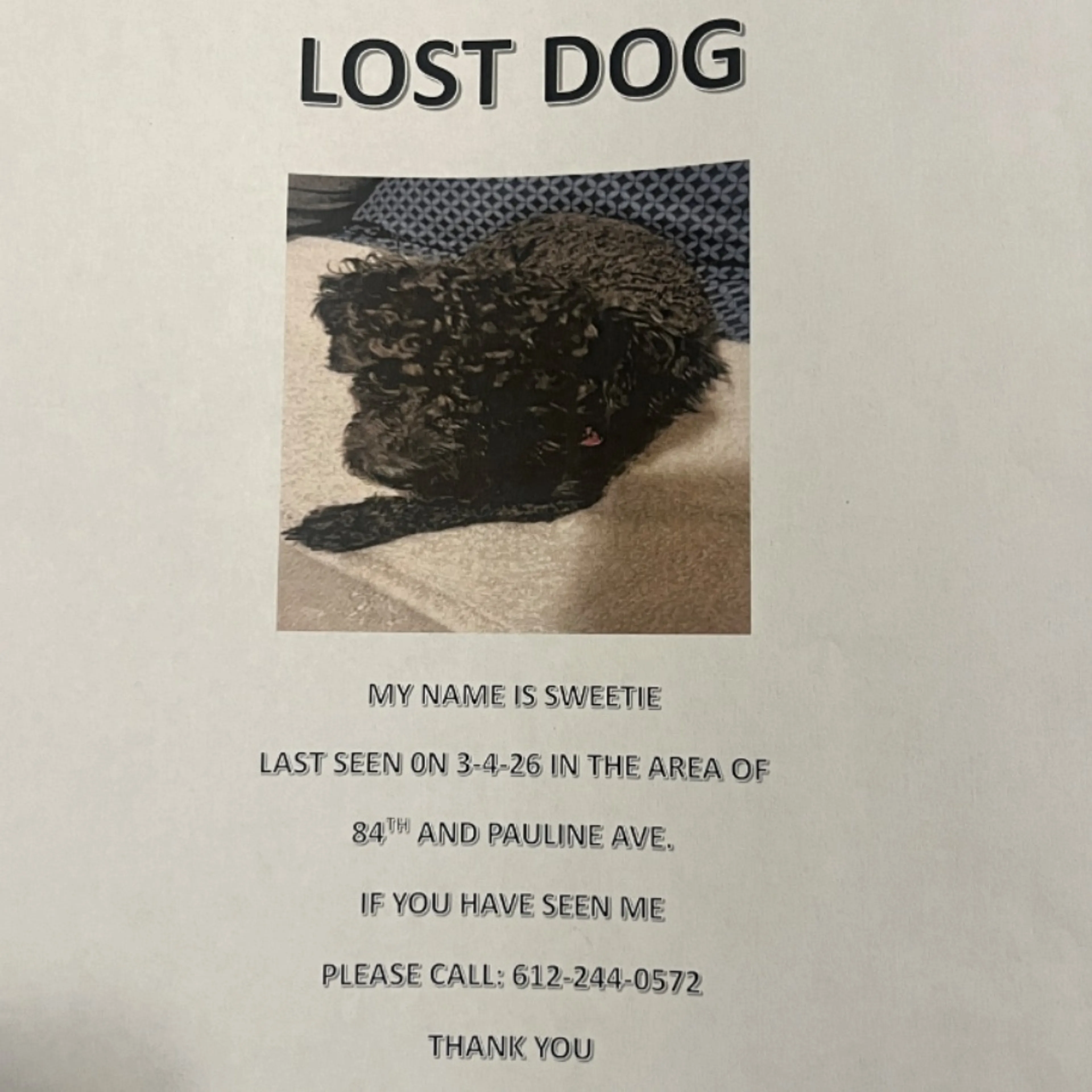Lost pet