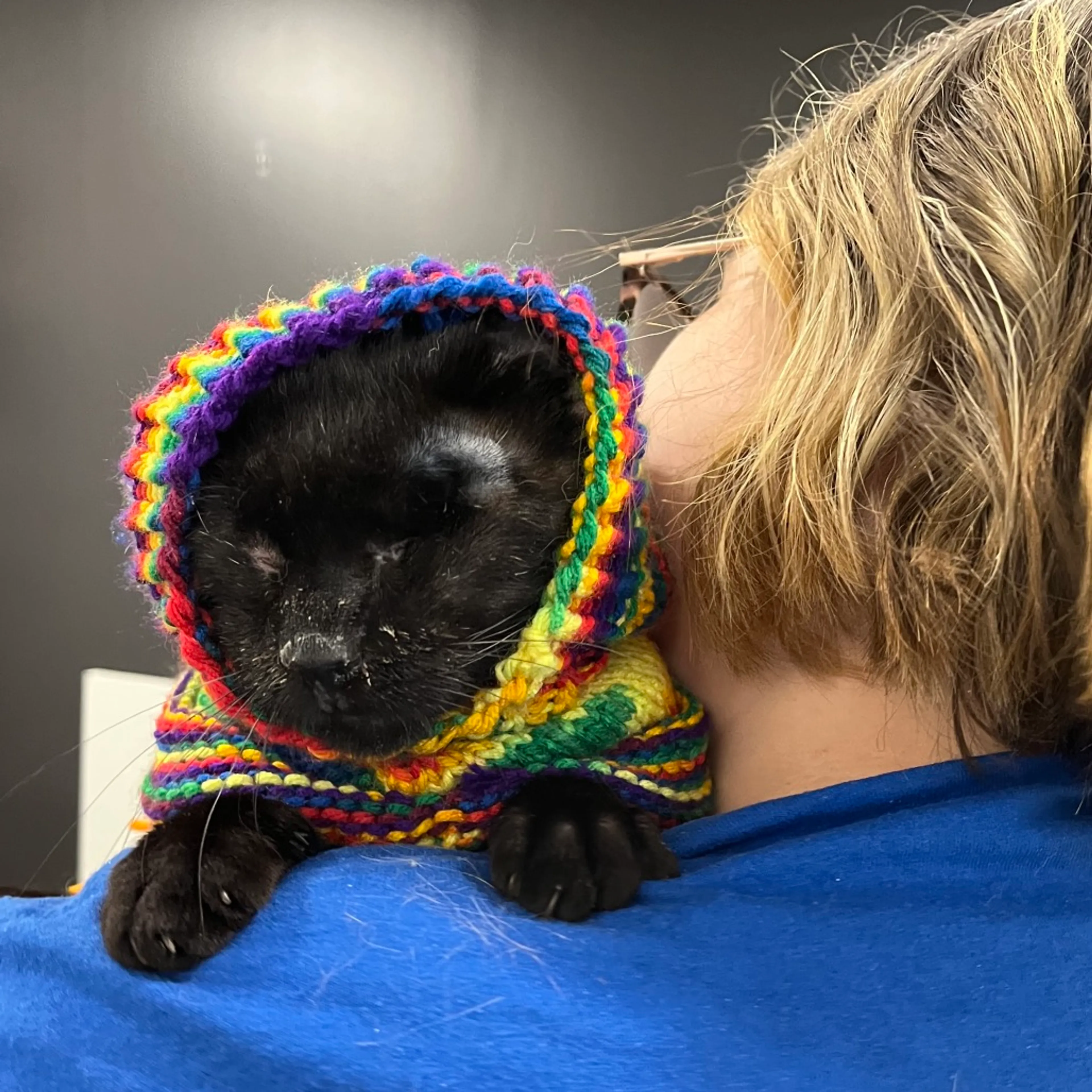 Found pet-4